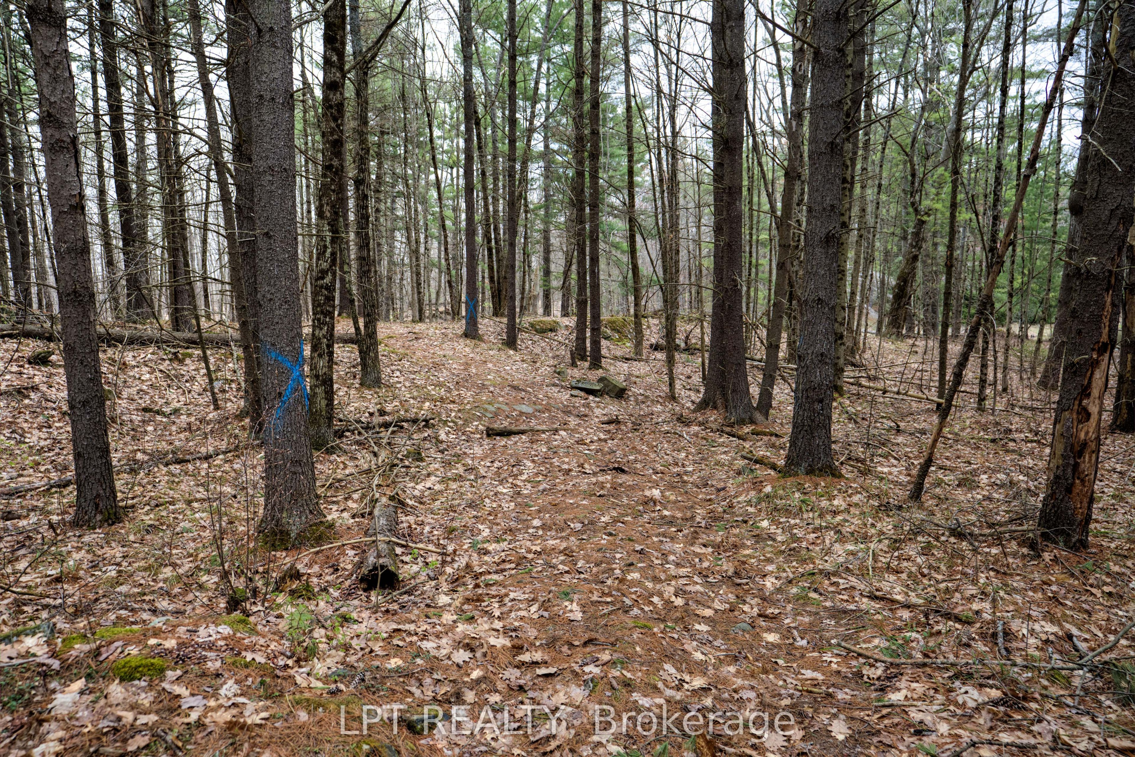 0 Old Sulphide Road Property Photo 44