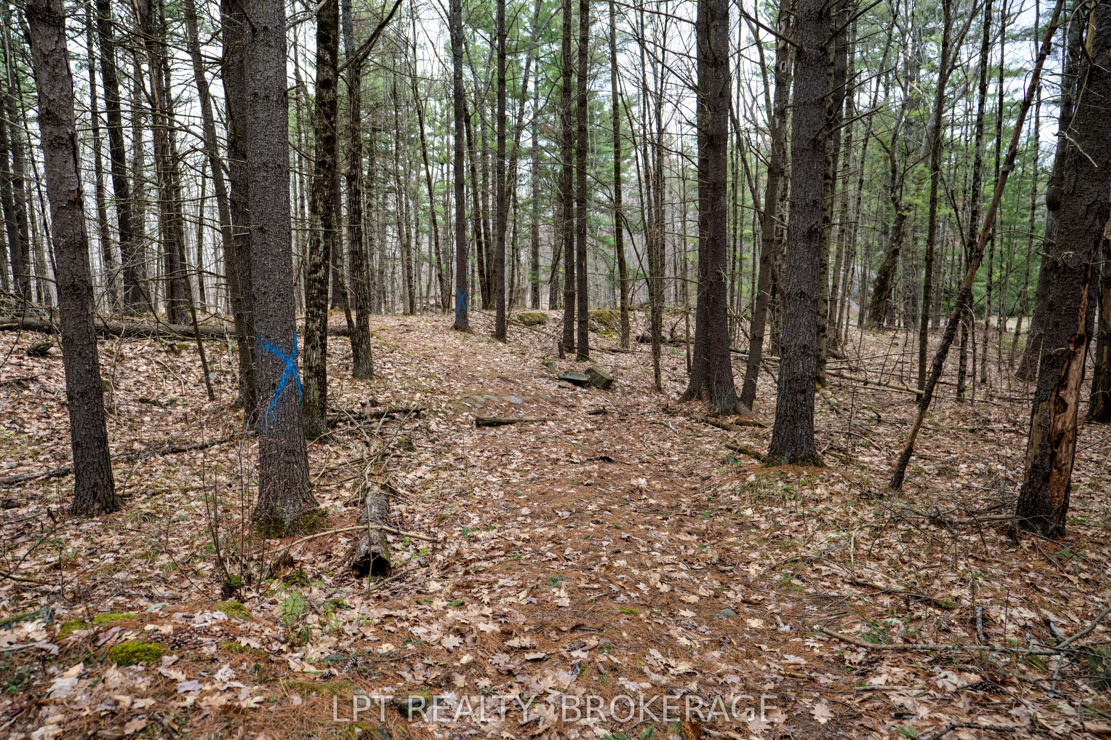 0 Old Sulphide Road Property Photo 44