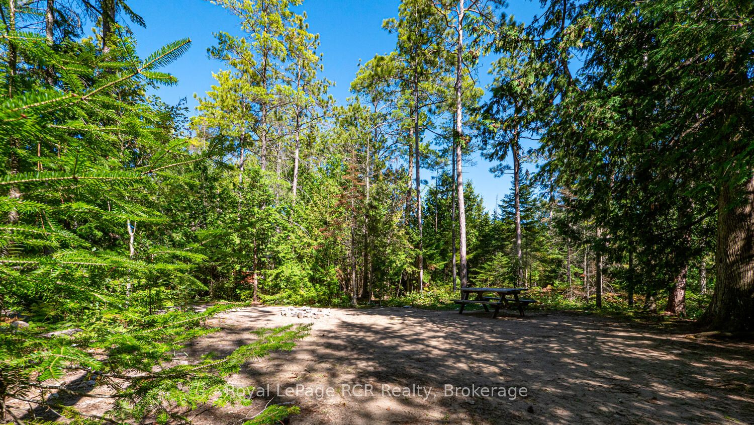 6313 Highway 6 Property Photo 42