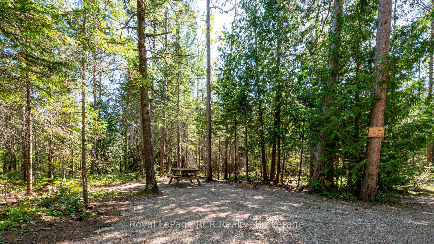 6313 Highway 6 Property Photo 43