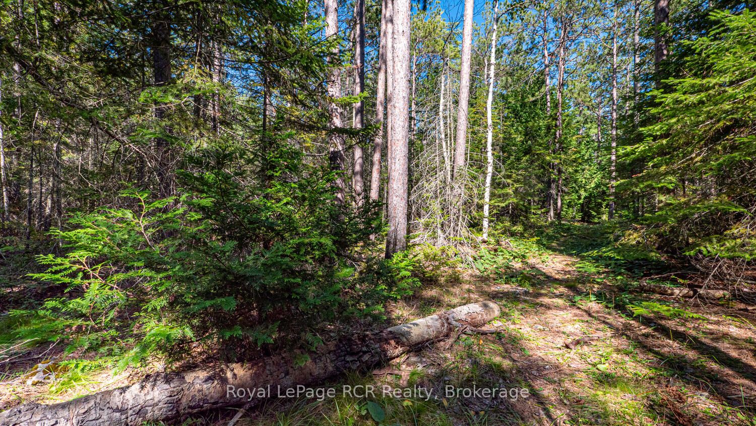 6313 Highway 6 Property Photo 46