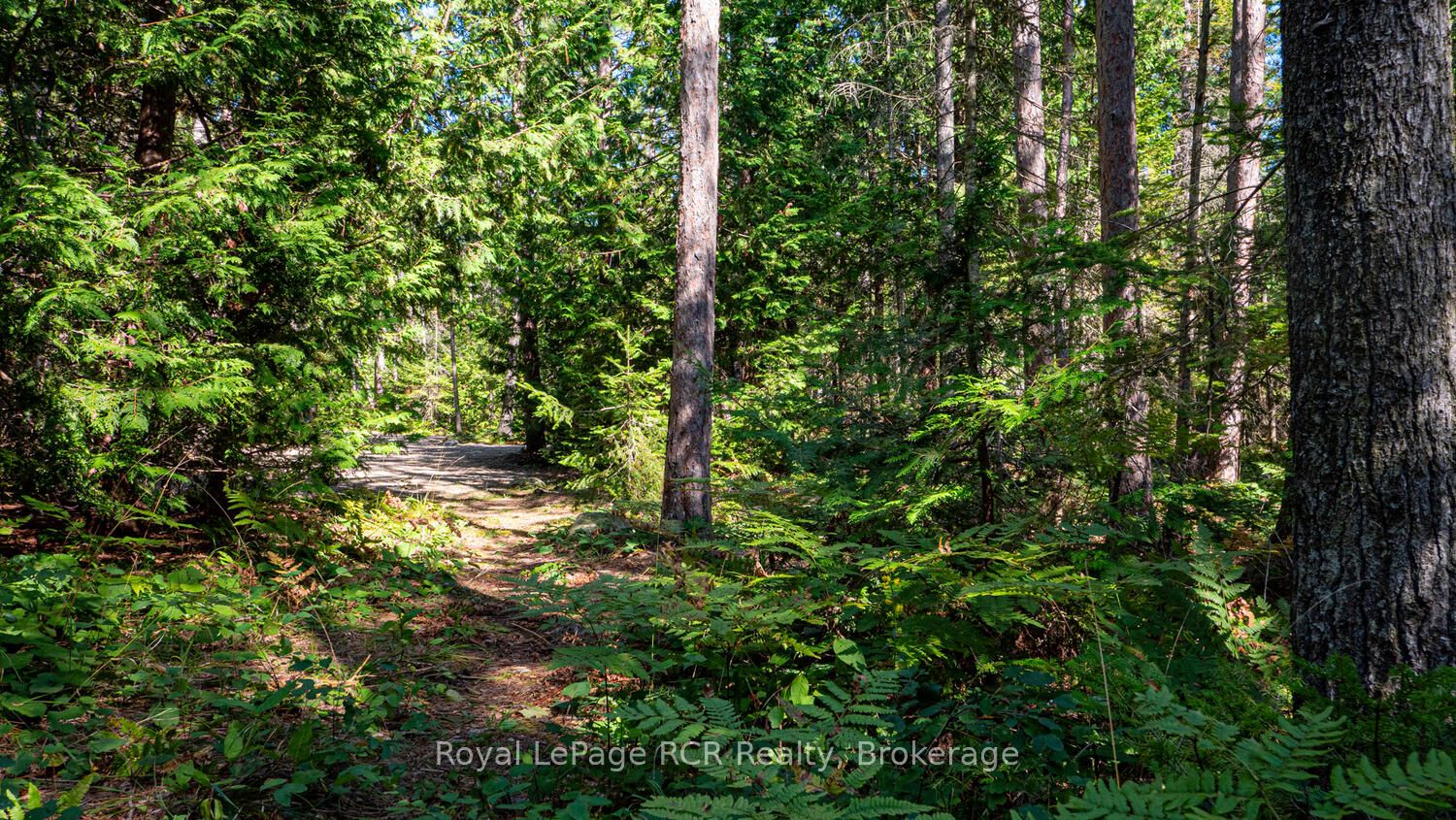 6313 Highway 6 Property Photo 47