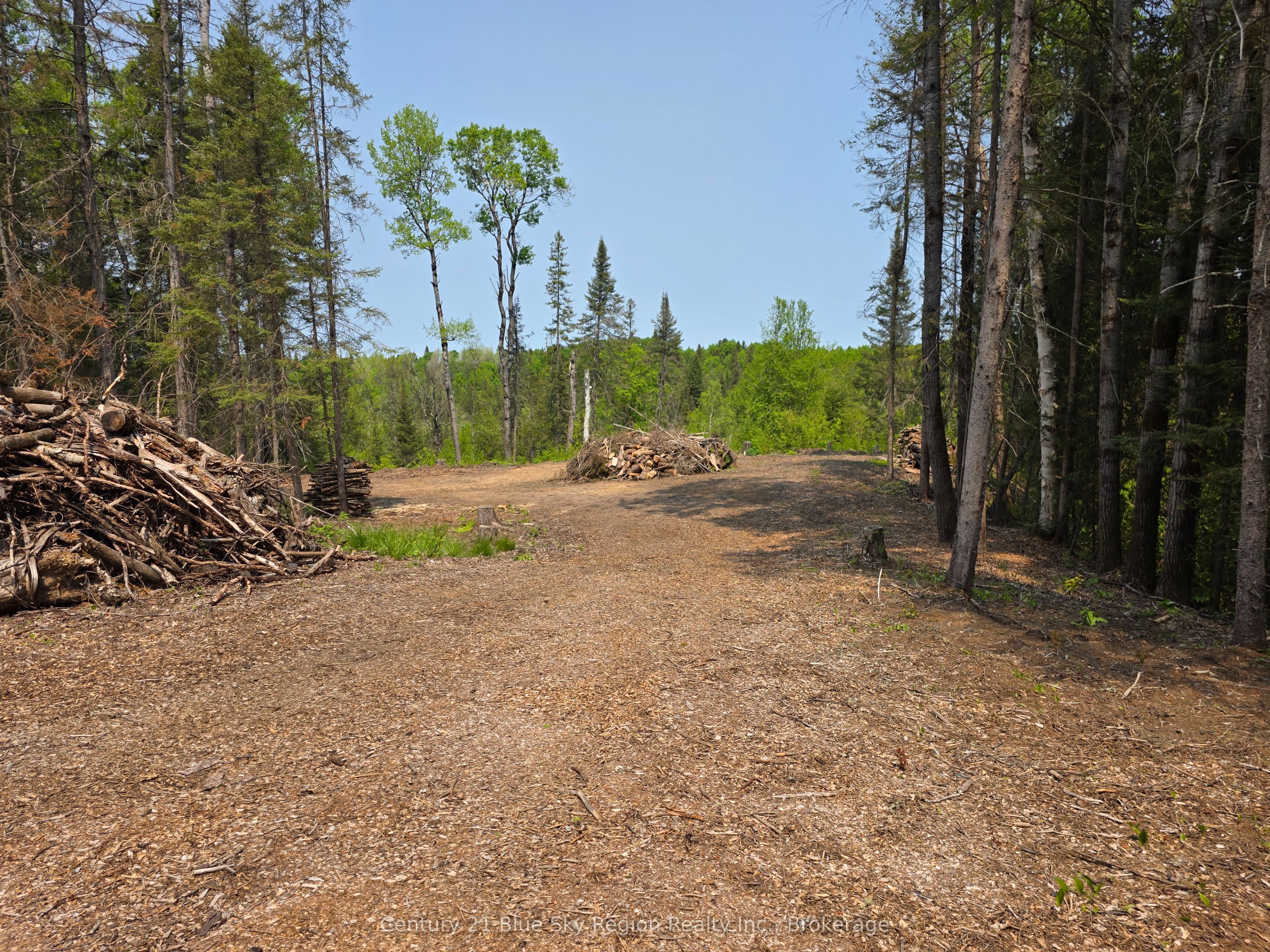 361 Hunt Line Property Photo 9