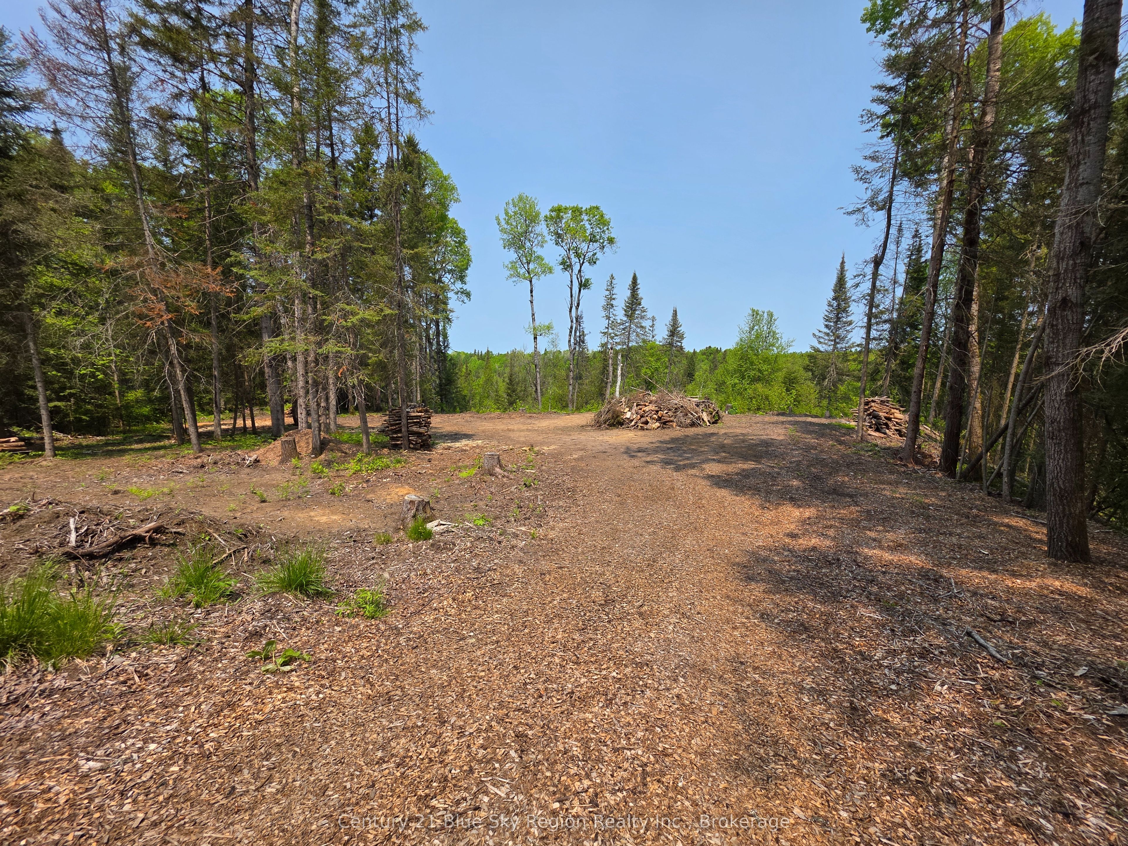 361 Hunt Line Property Photo 11