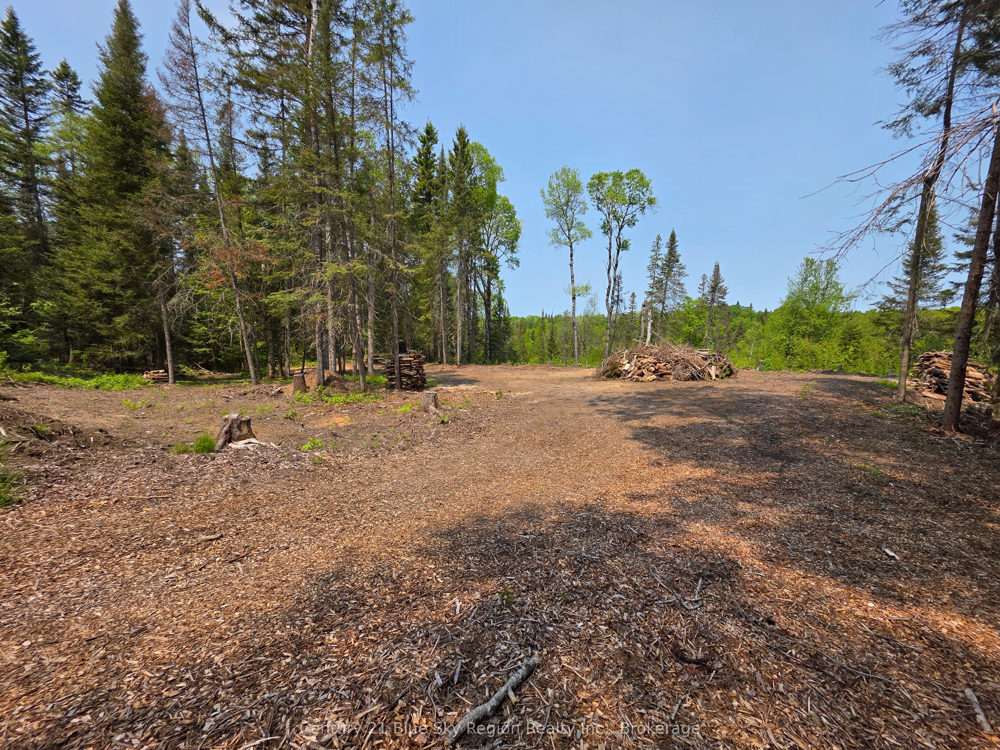 361 Hunt Line Property Photo 12