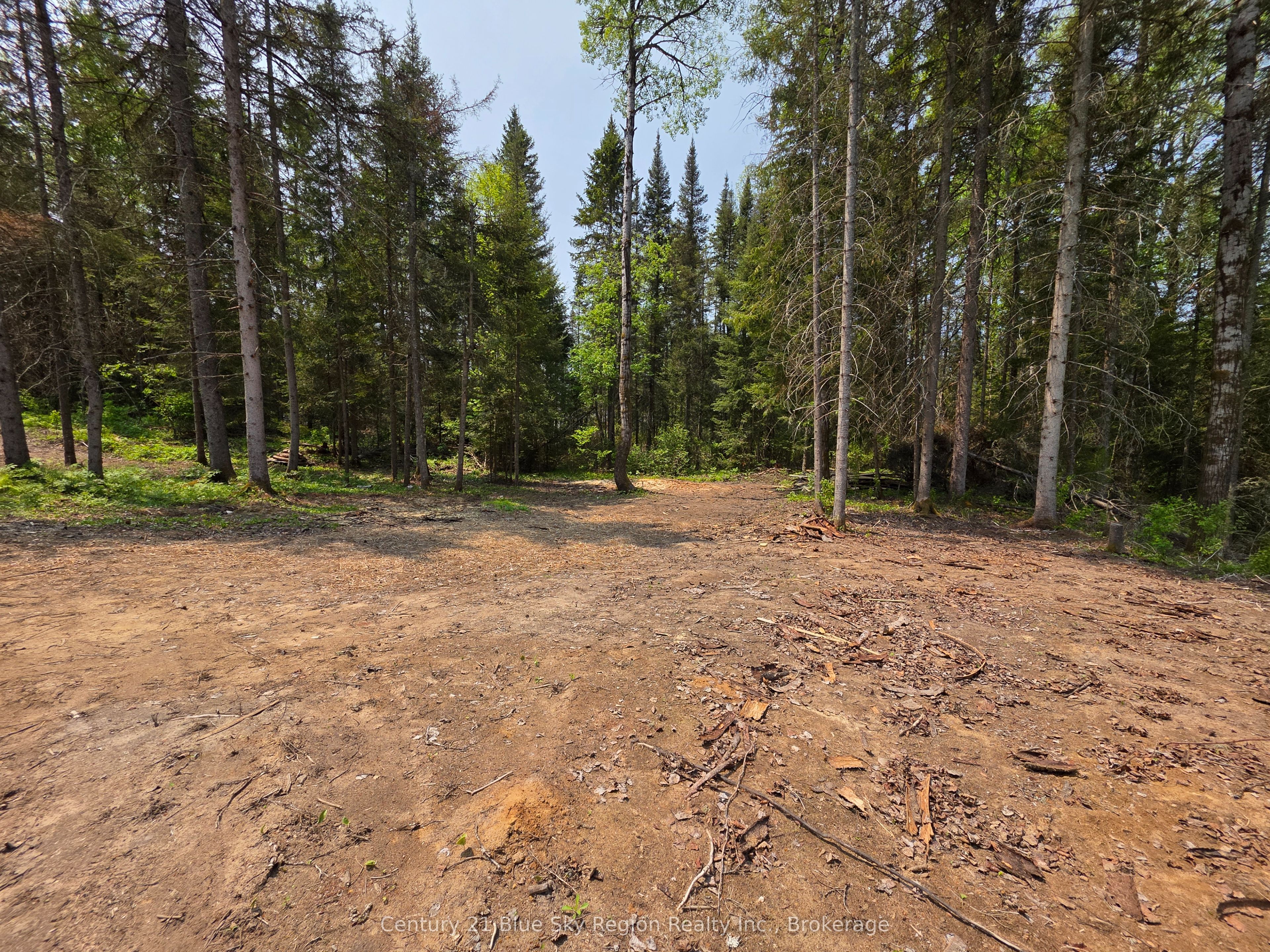 361 Hunt Line Property Photo 13