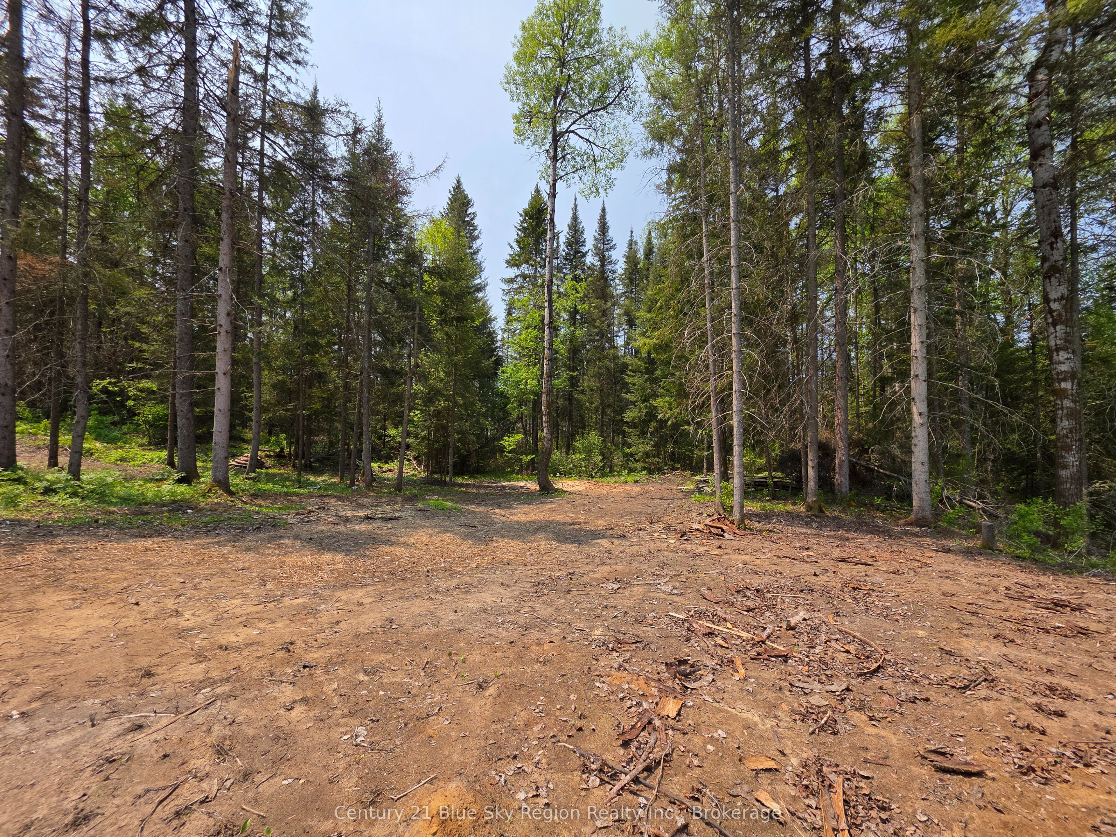 361 Hunt Line Property Photo 14