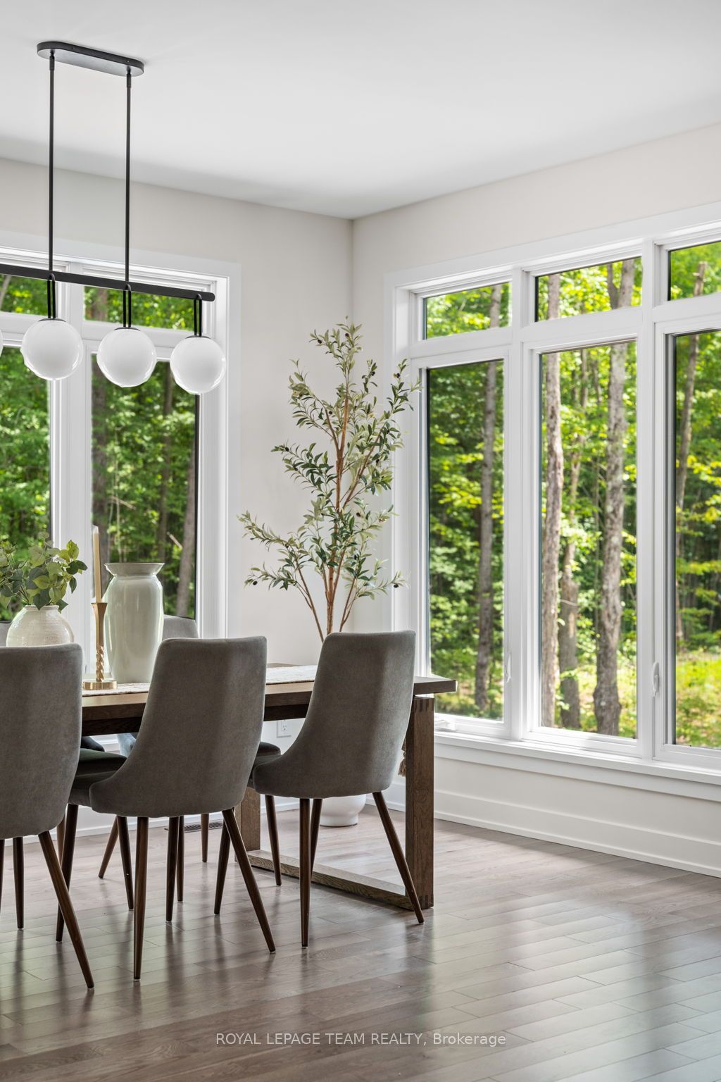 47 Hogan Drive Property Photo 26