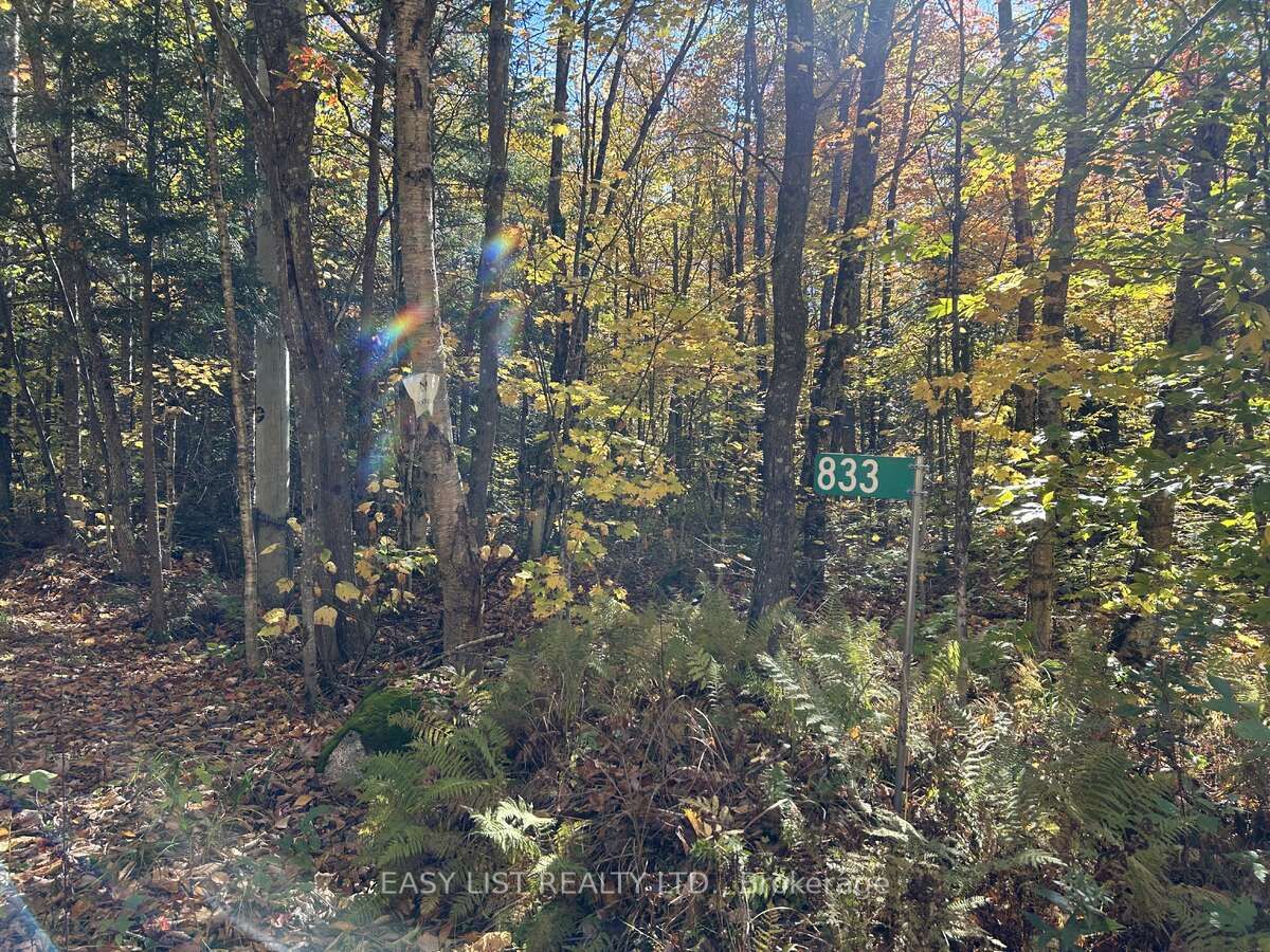 833 Hamilton Lake Road Property Photo 1