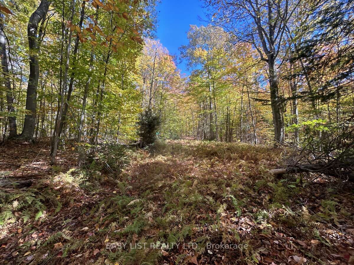 833 Hamilton Lake Road Property Photo 1