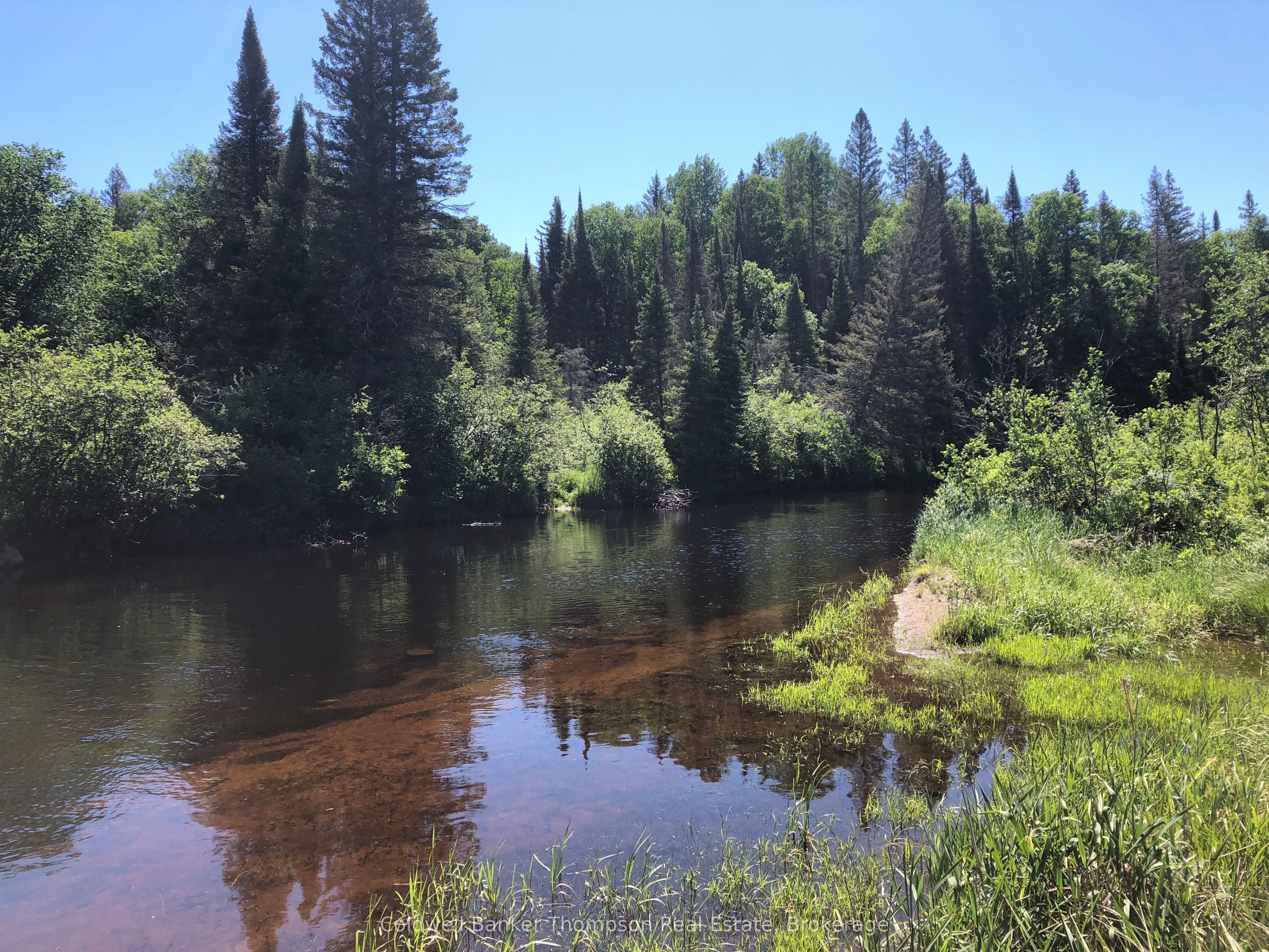 140 Machar River Road Property Photo 5