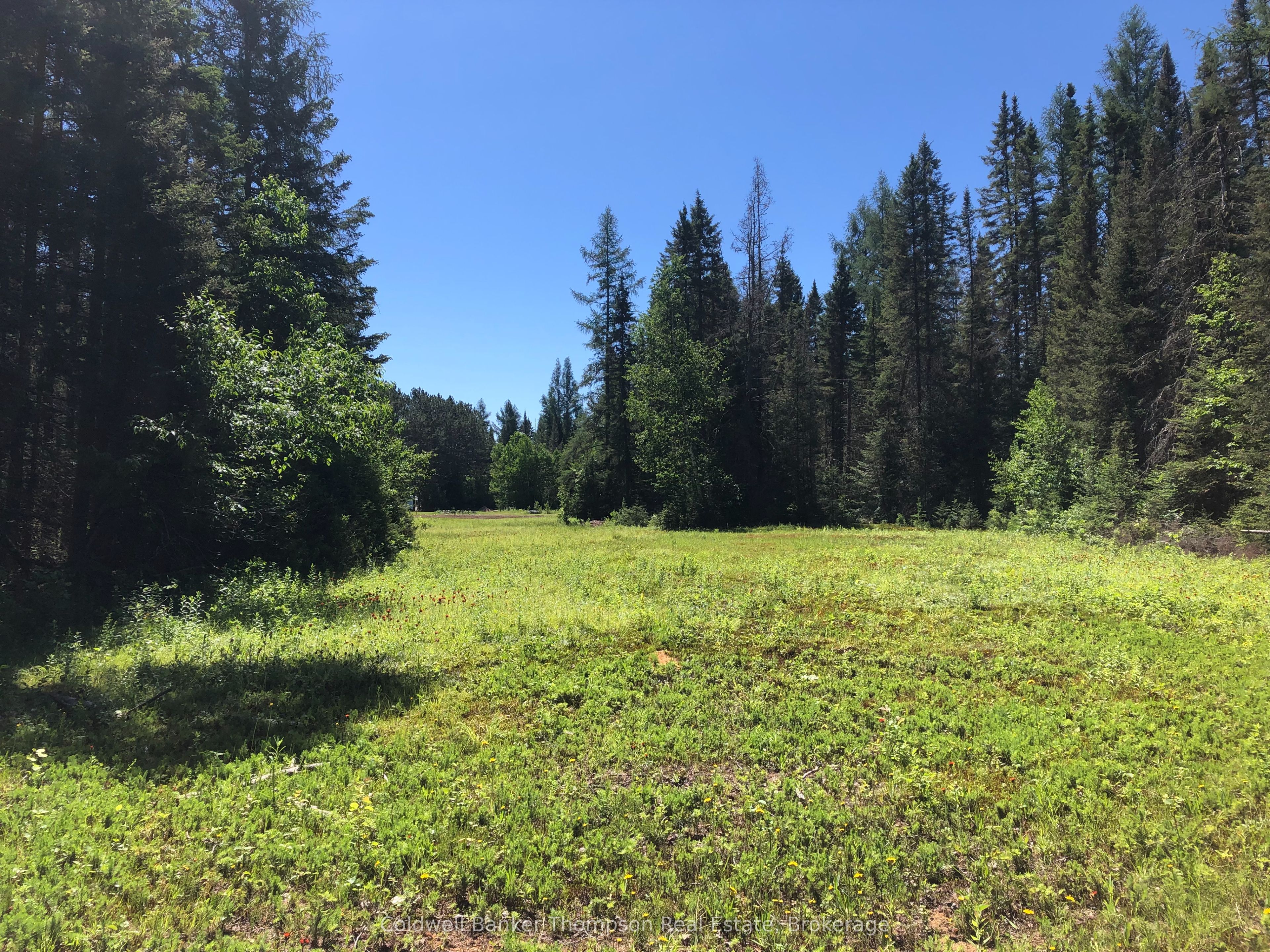 140 Machar River Road Property Photo 13