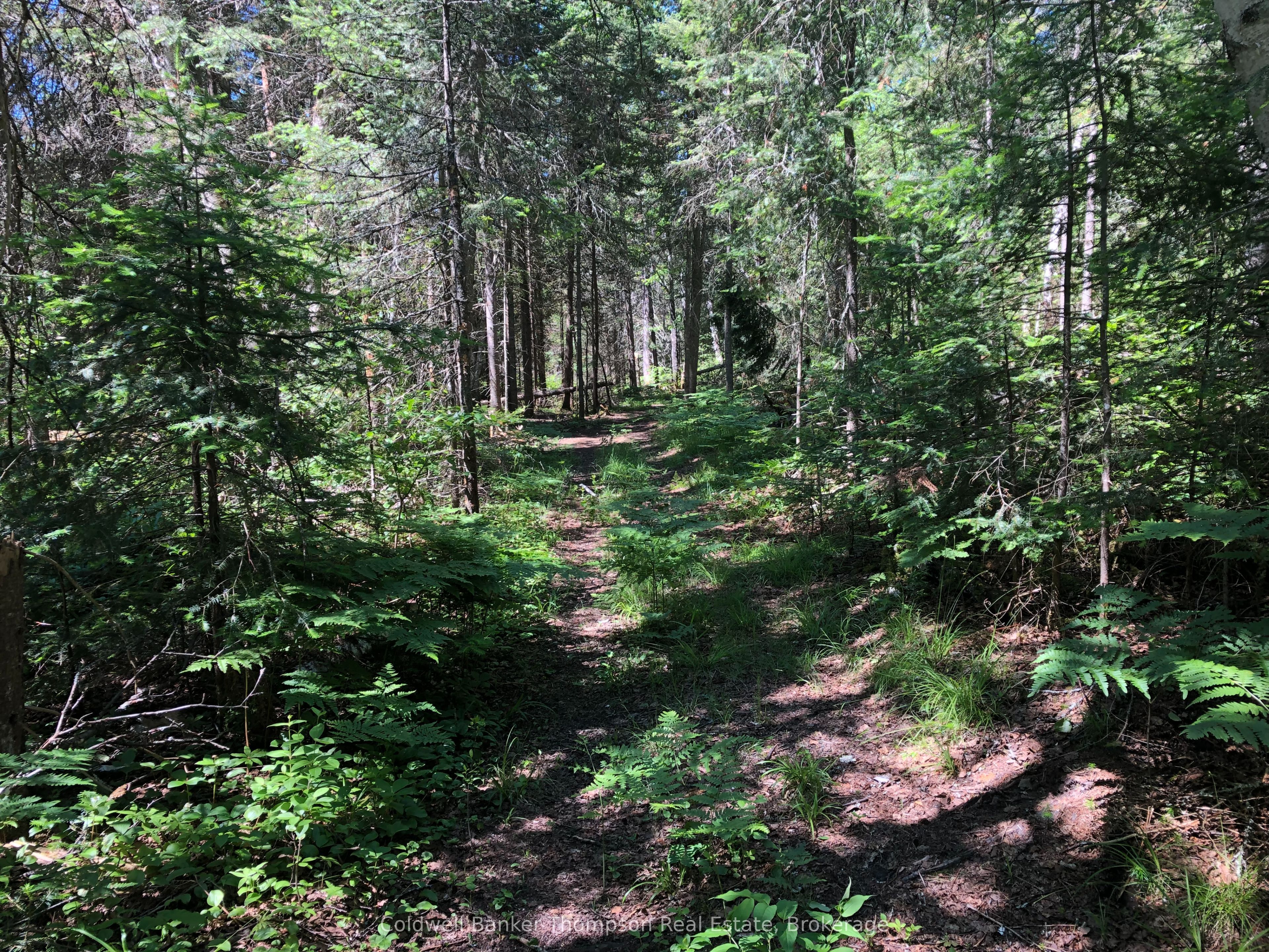 140 Machar River Road Property Photo 14