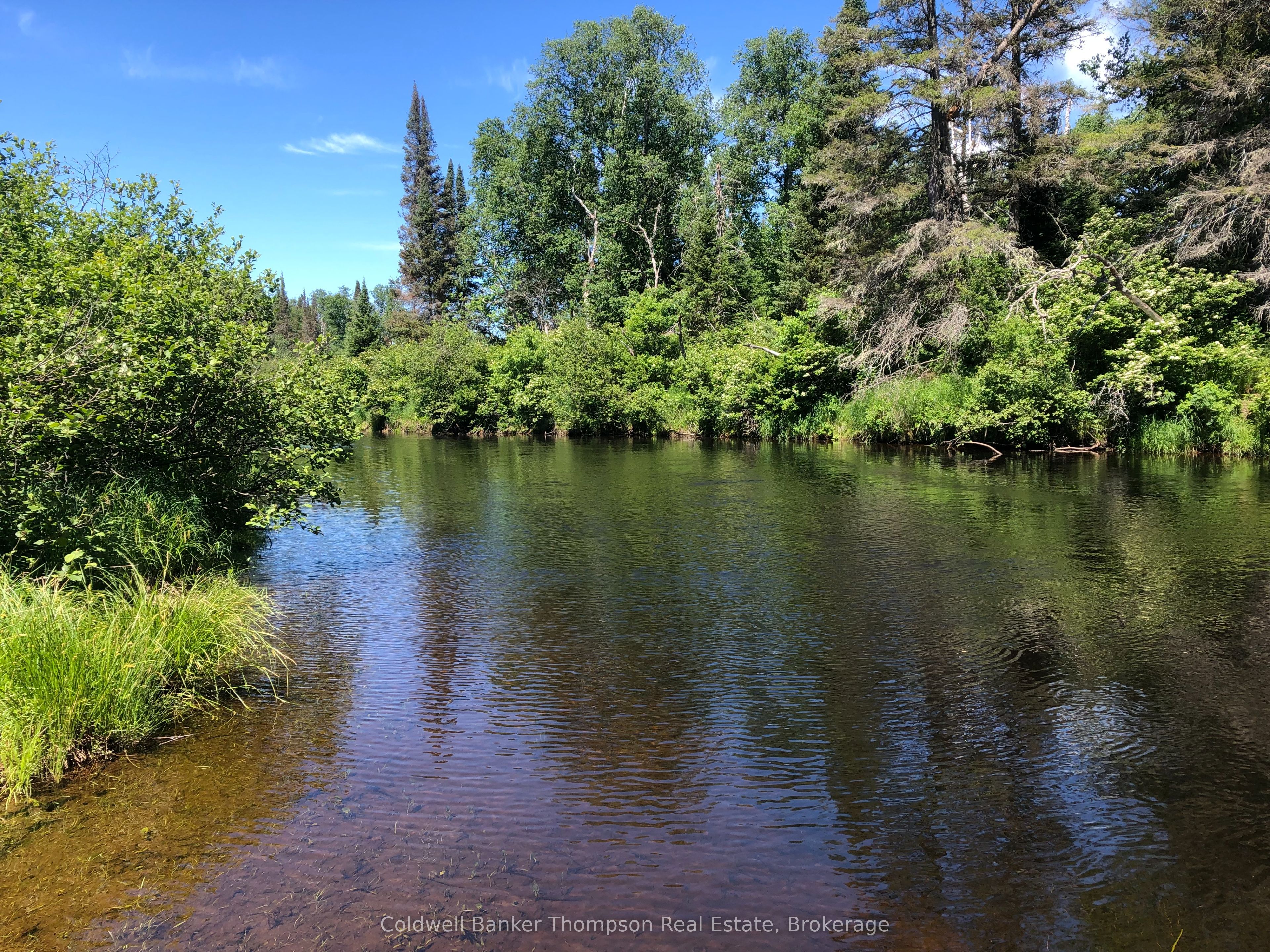 140 Machar River Road Property Photo 16