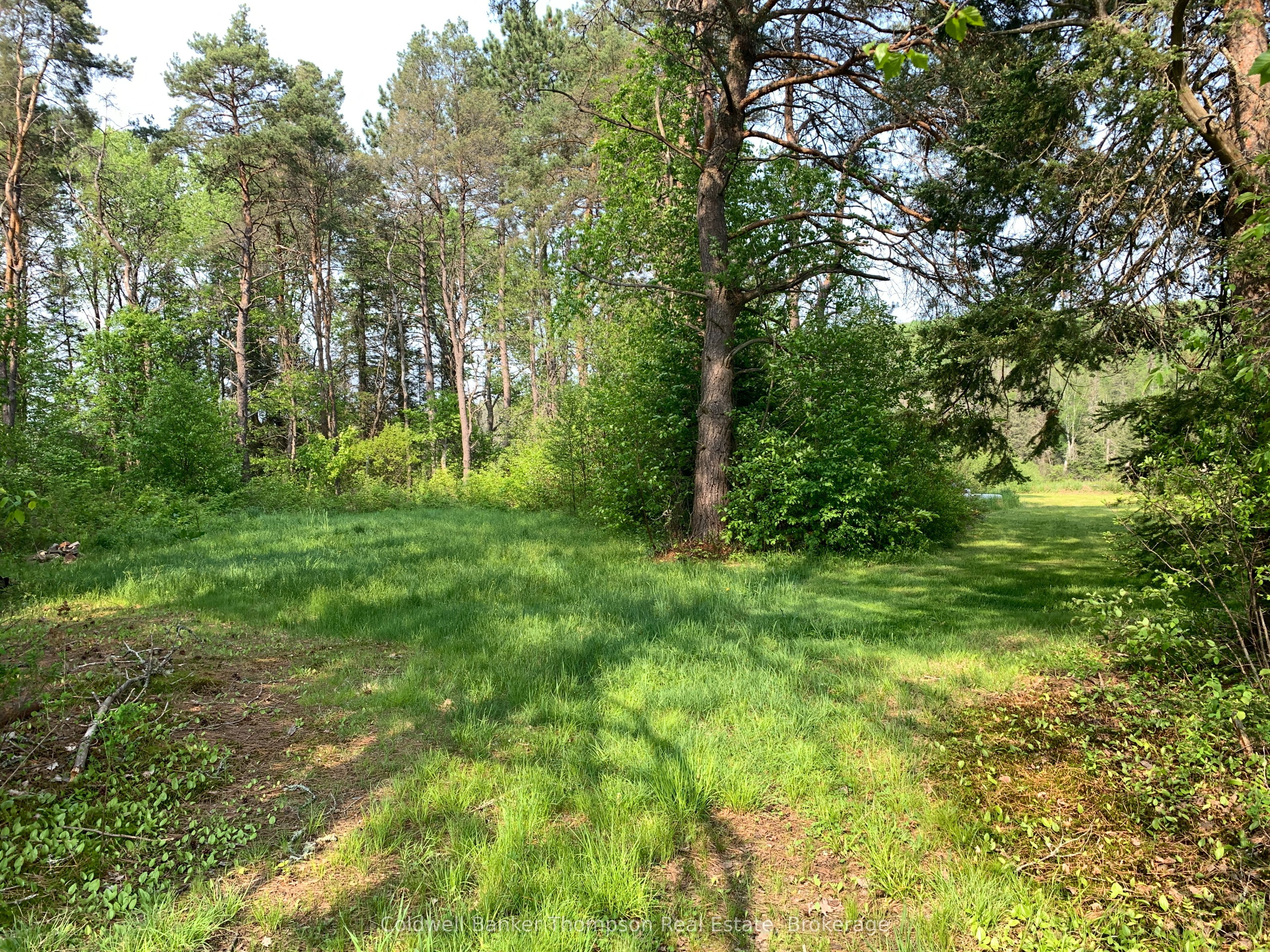 140 Machar River Road Property Photo 32