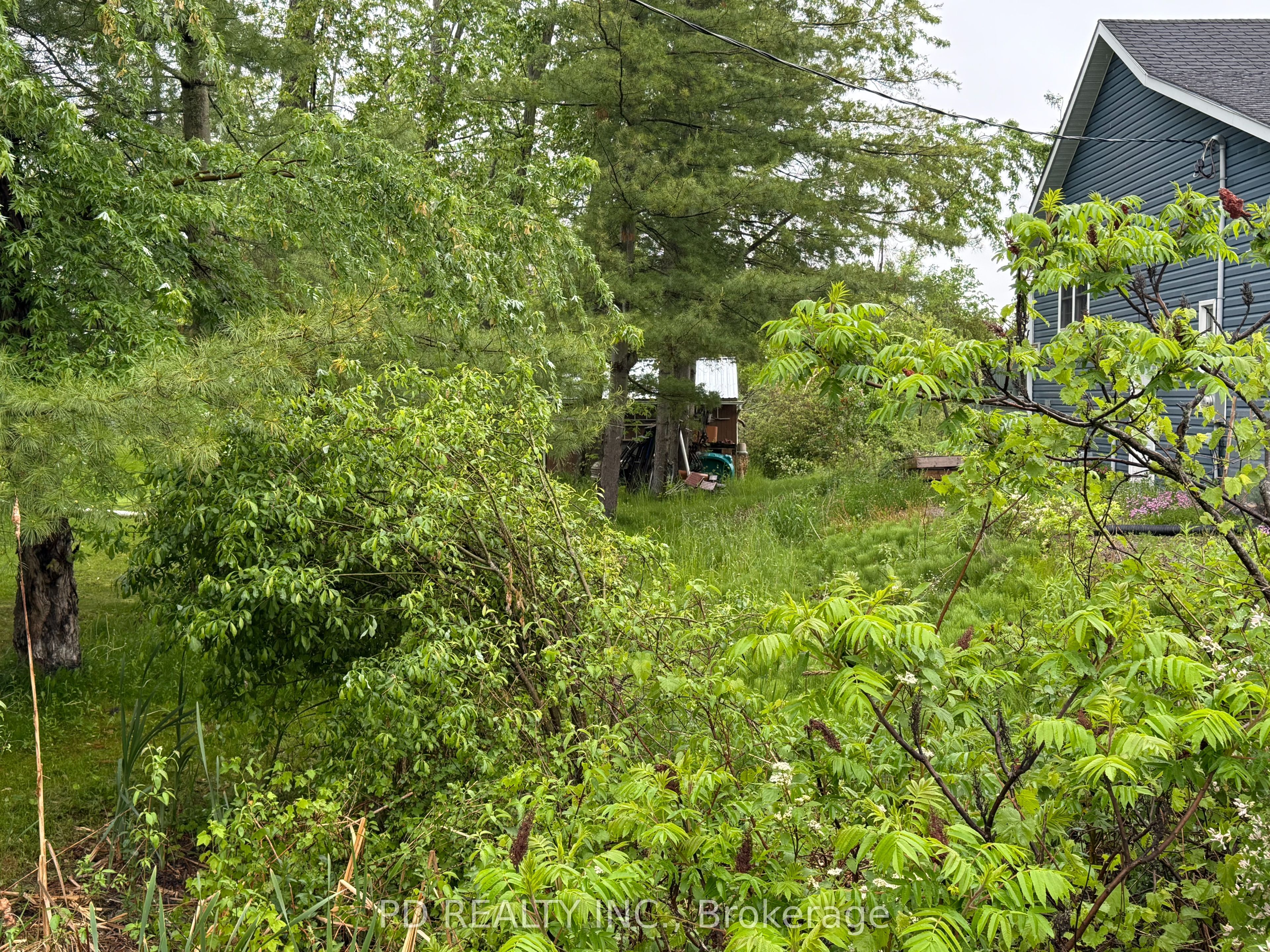 22 Helen Dr Property Photo 5
