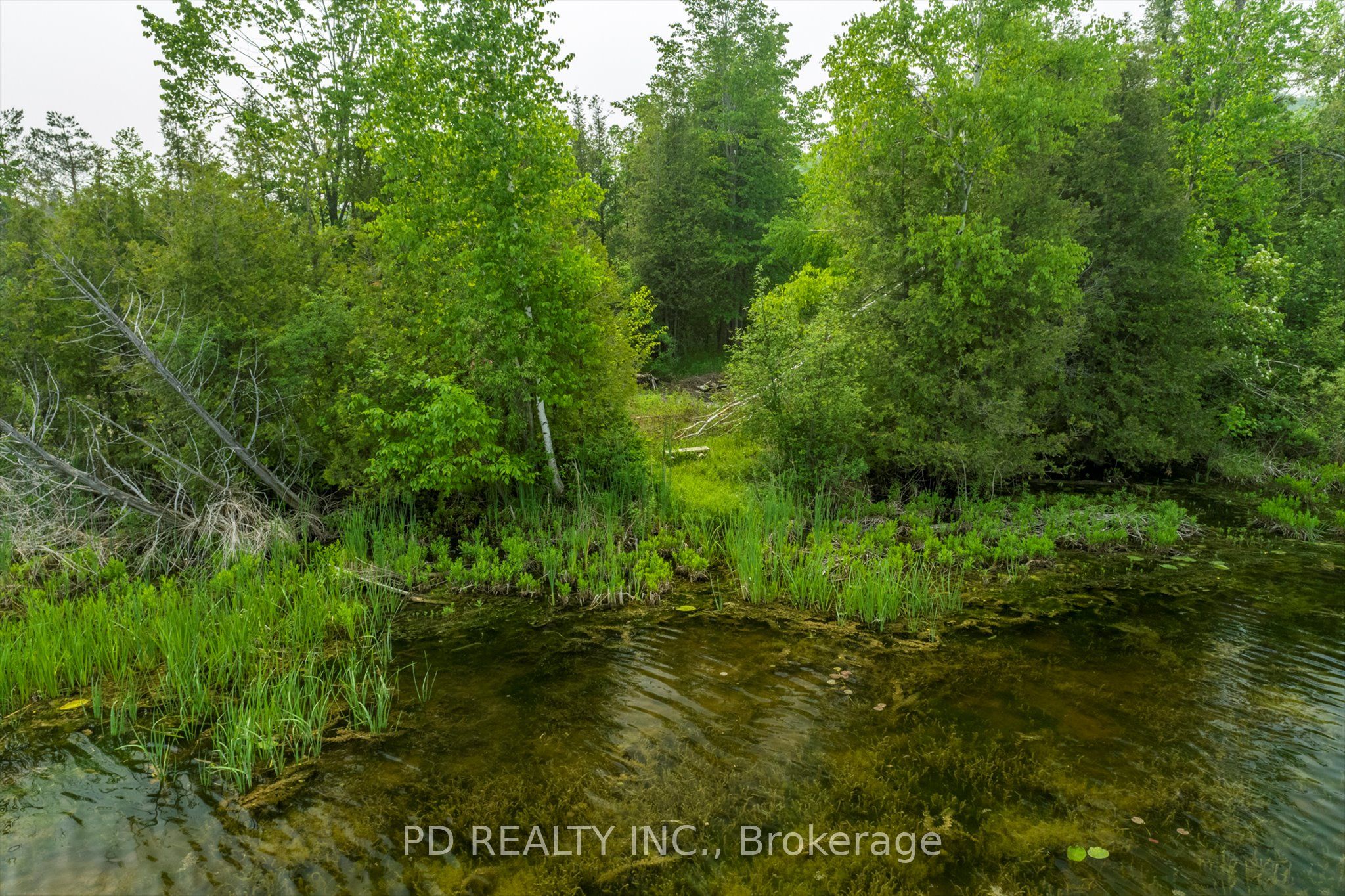 22 Helen Dr Property Photo 40