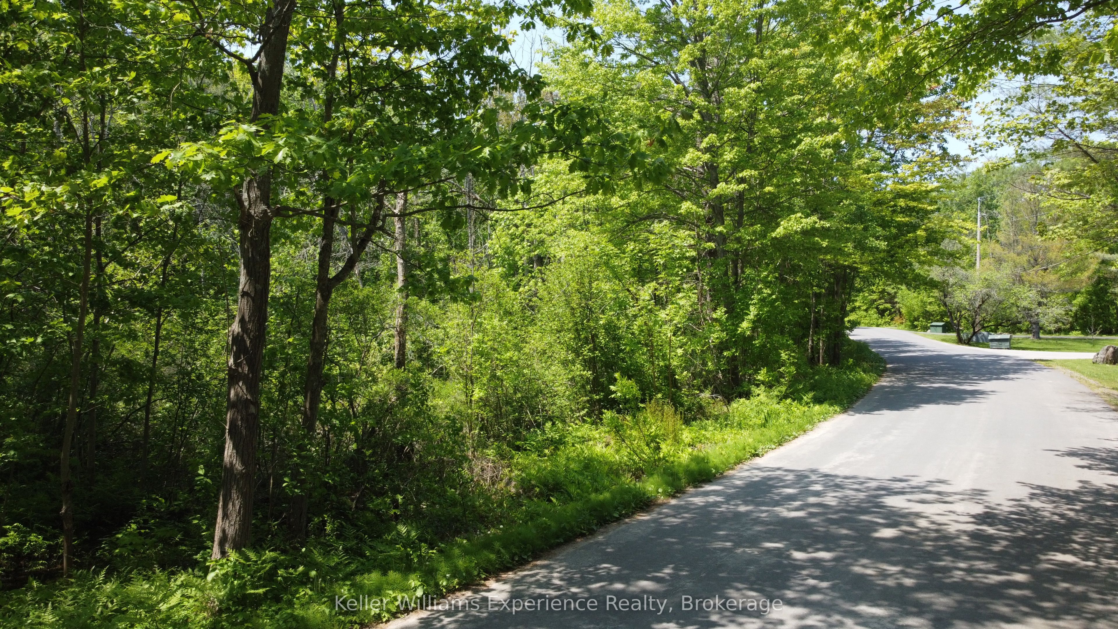 162 Bonneville Rd Property Photo 4