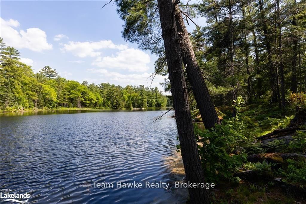 6528 Severn River Shore N/a Property Photo 10