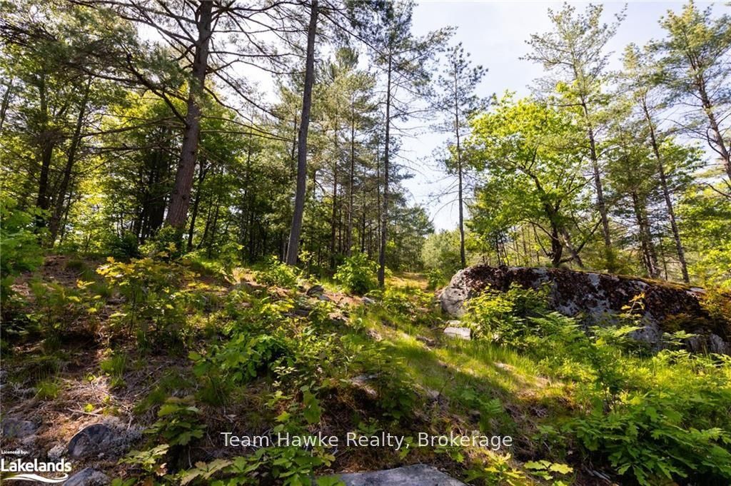 6528 Severn River Shore N/a Property Photo 11