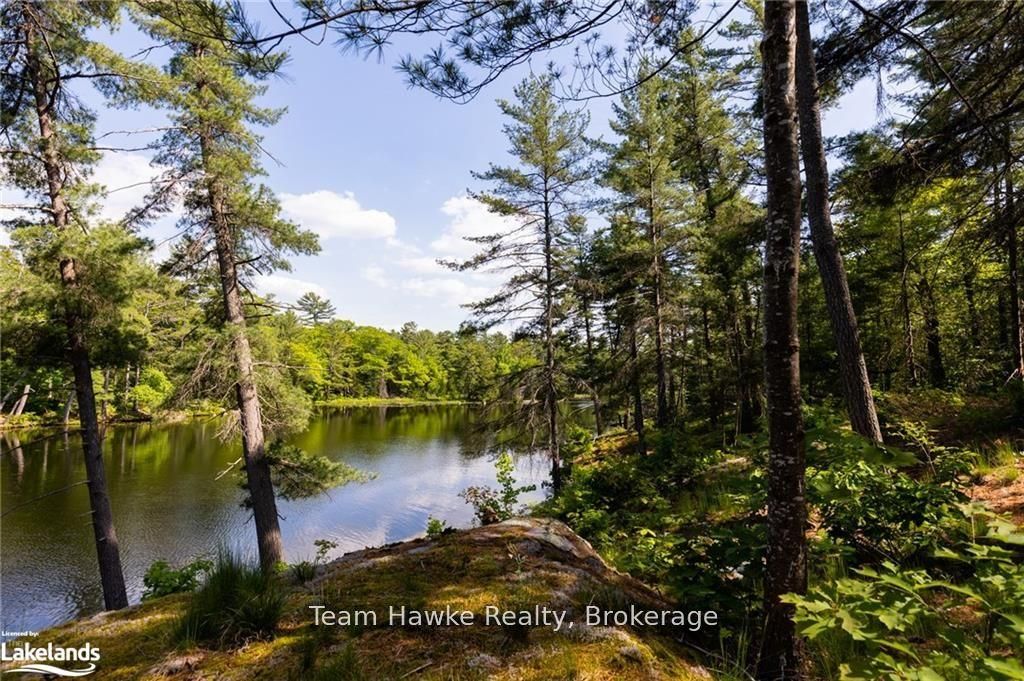 6528 Severn River Shore N/a Property Photo 12