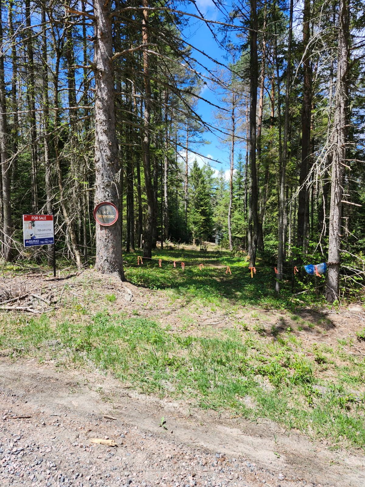 Pt Lots 24 & 25 Con 5 Concession Property Photo 1