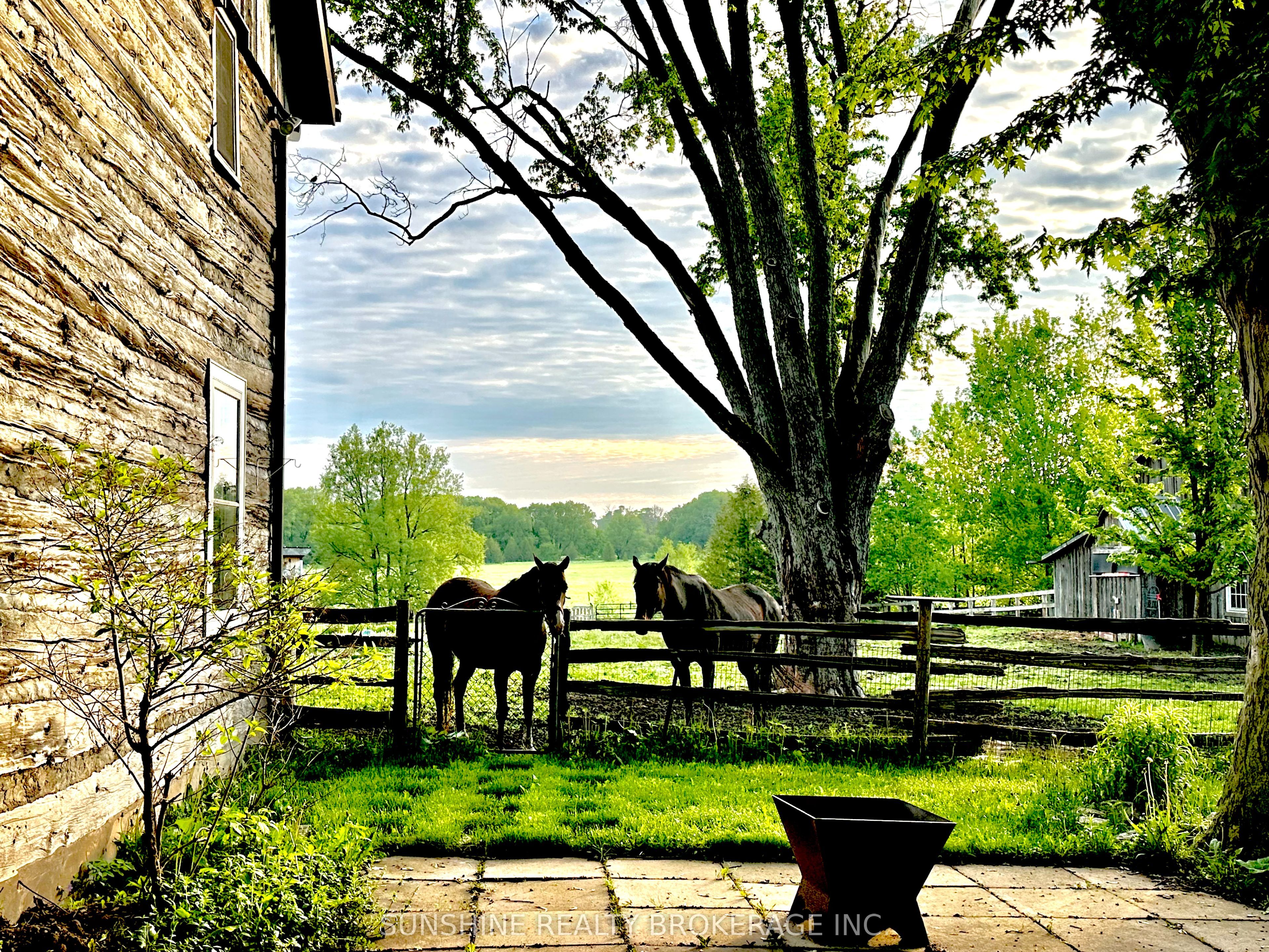 7907 Sixteenth Line Property Photo 30