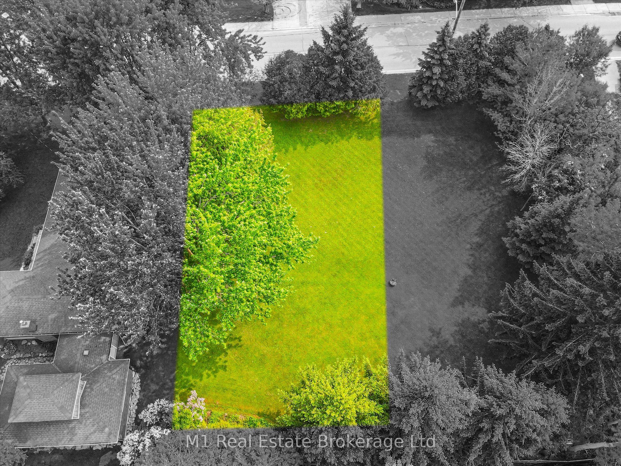 #lot 1b - 1b Clarke Street Property Photo 2