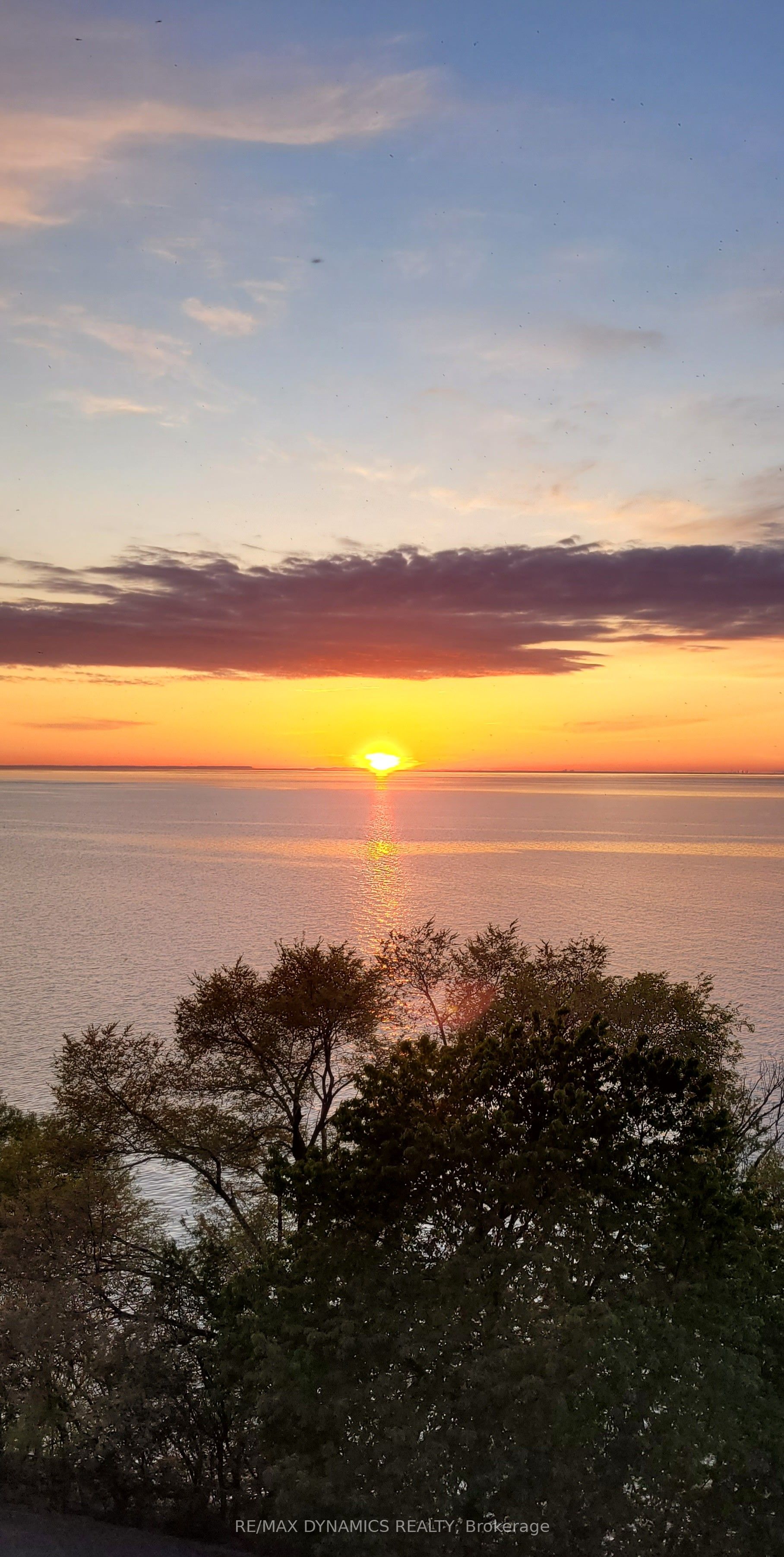 701 Geneva Street 1504 Property Photo 49