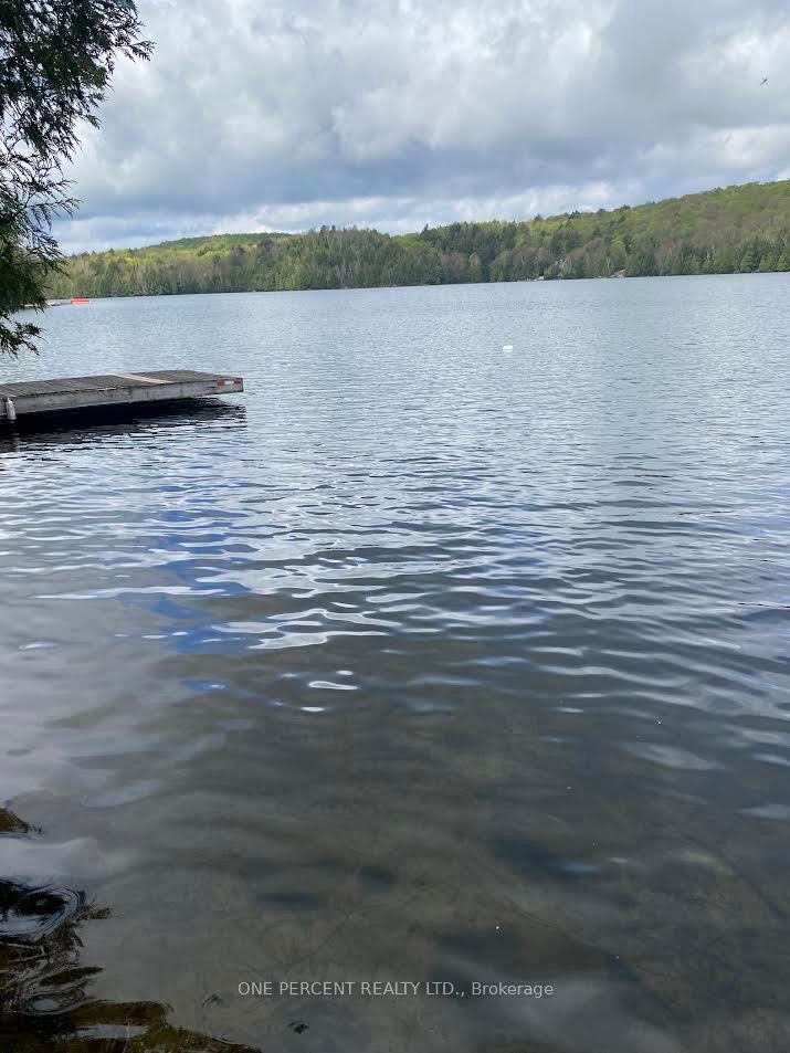 393 Loon Lake Road Property Photo 1