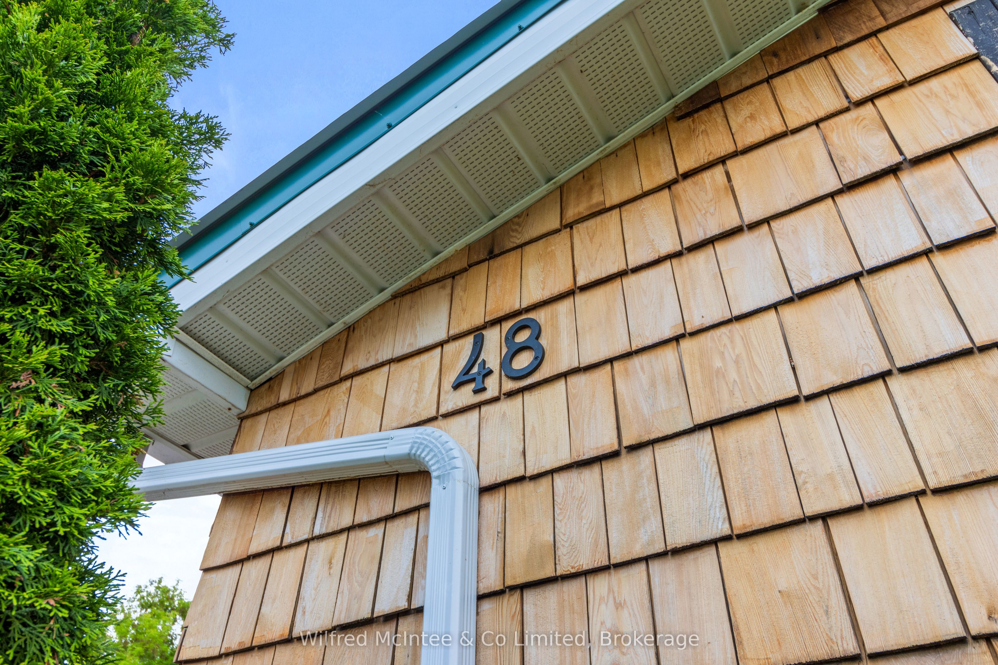 48 Maplewood Boulevard Property Photo 11