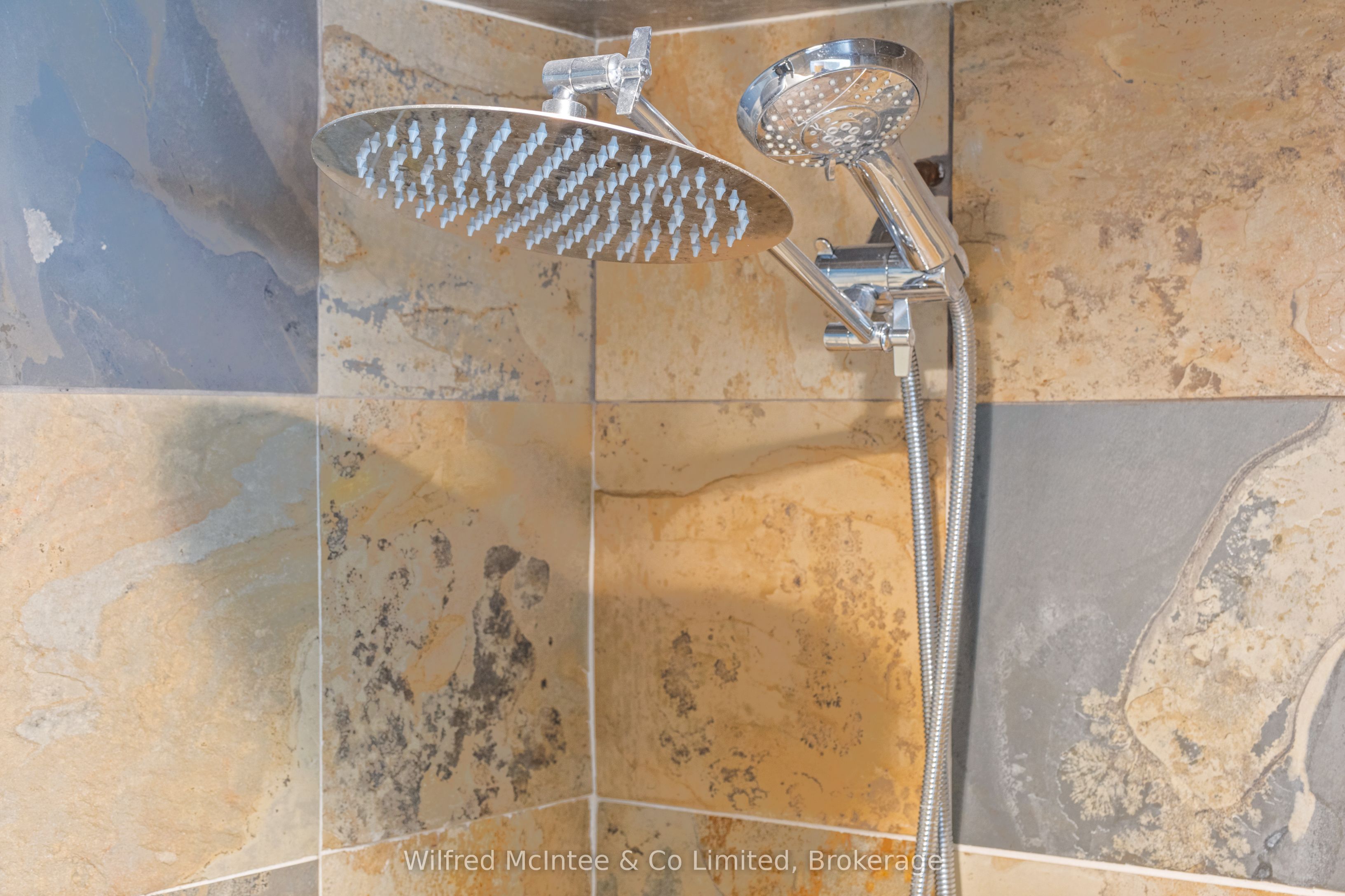 48 Maplewood Boulevard Property Photo 31