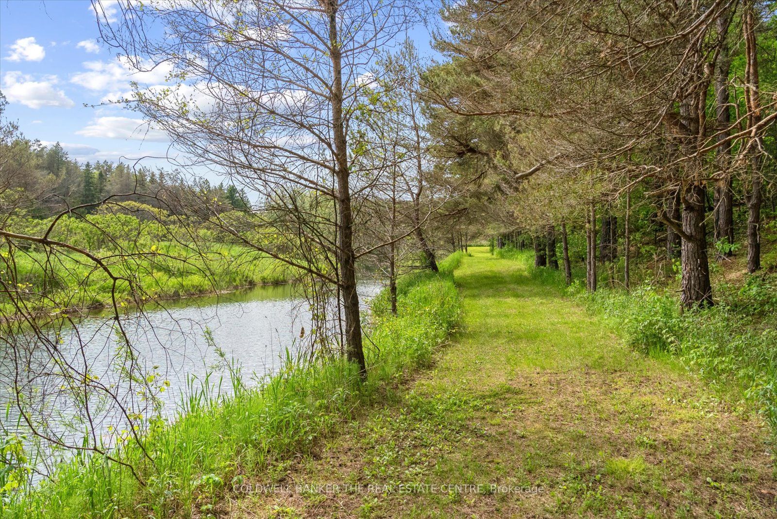 798213 3 Line E Property Photo 49