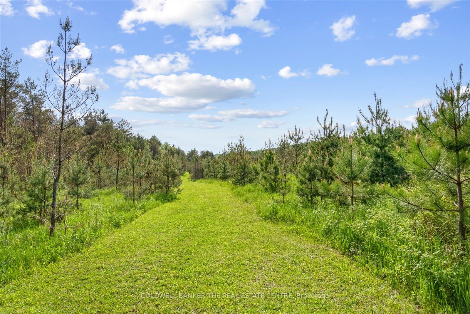 798213 3 Line E Property Photo 50