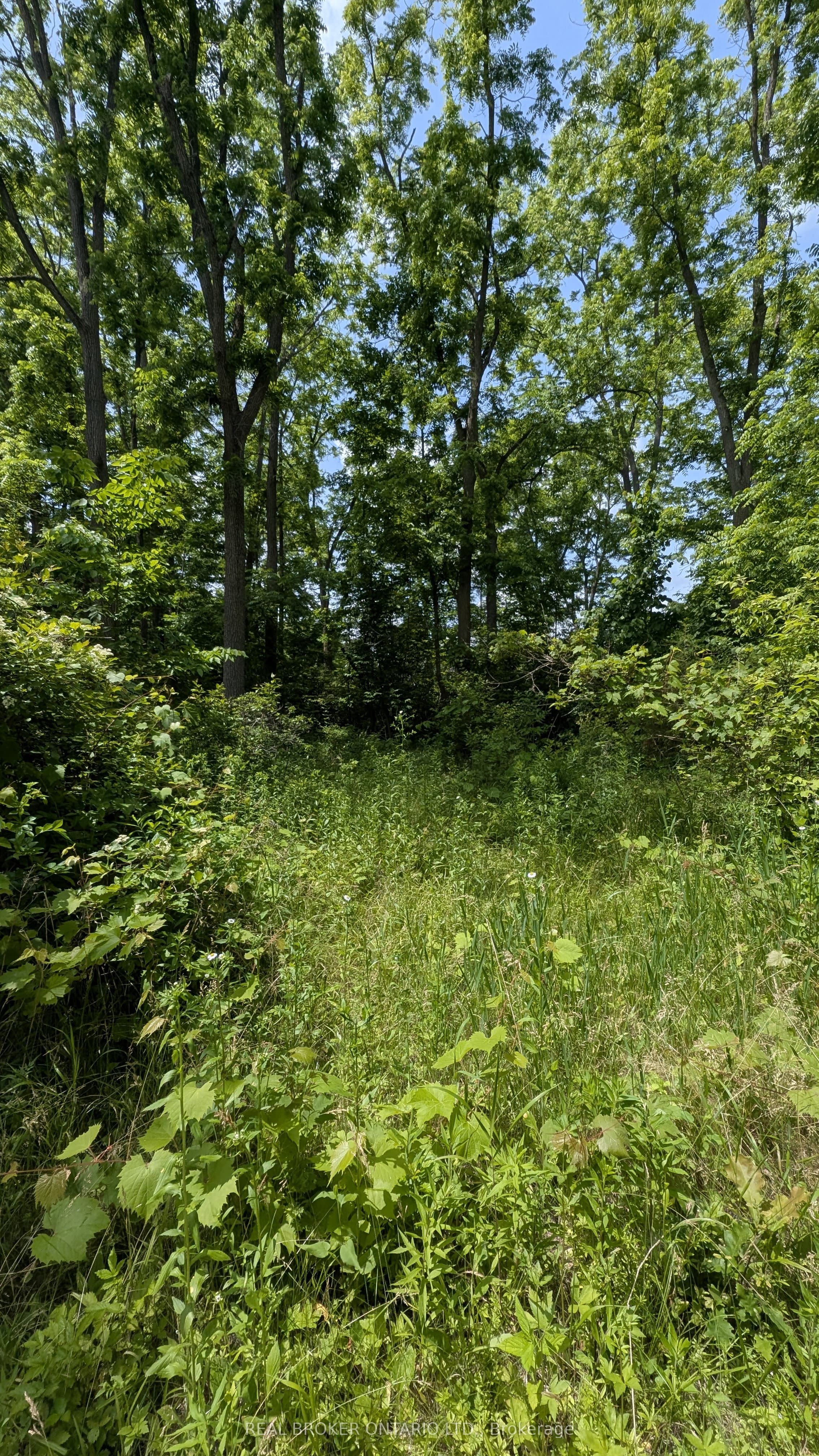 37 Kincardine Street Property Photo 2