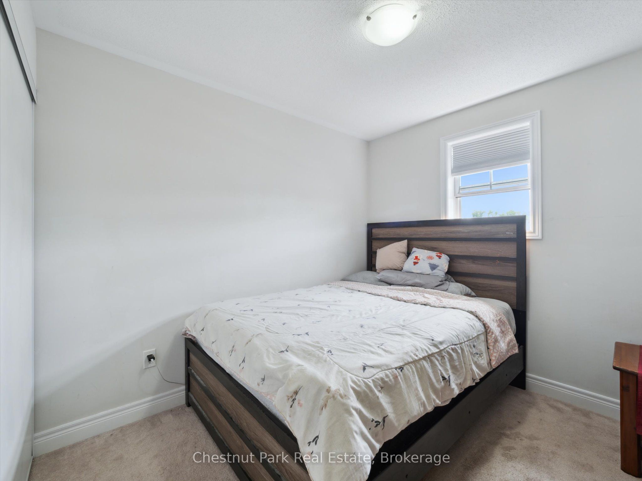 245 Wild Rose Drive Property Photo 24