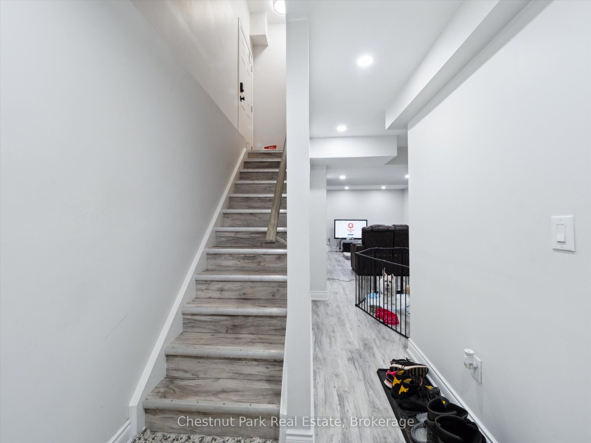 245 Wild Rose Drive Property Photo 27