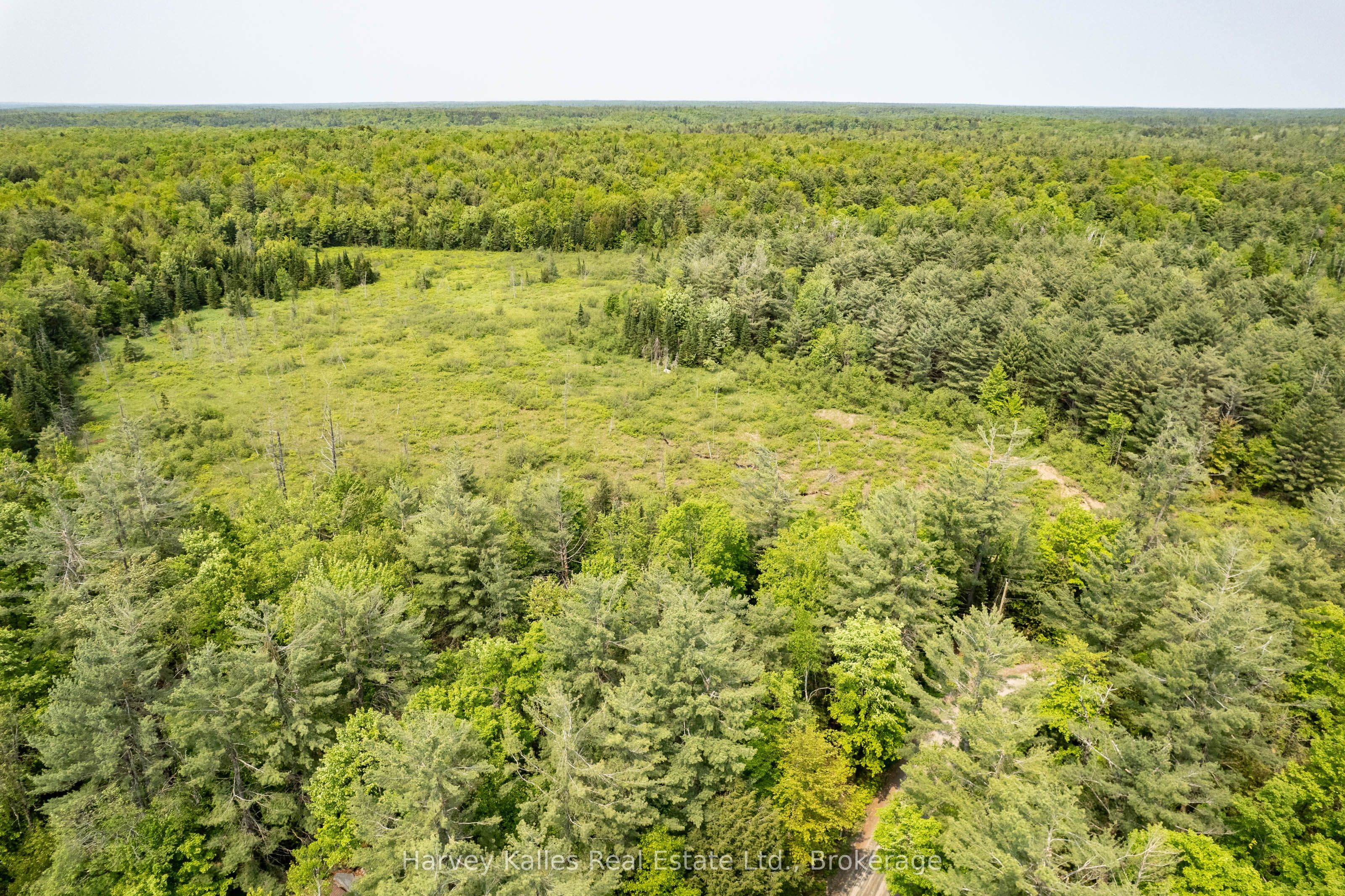 1099 Peterson Road Property Photo 3