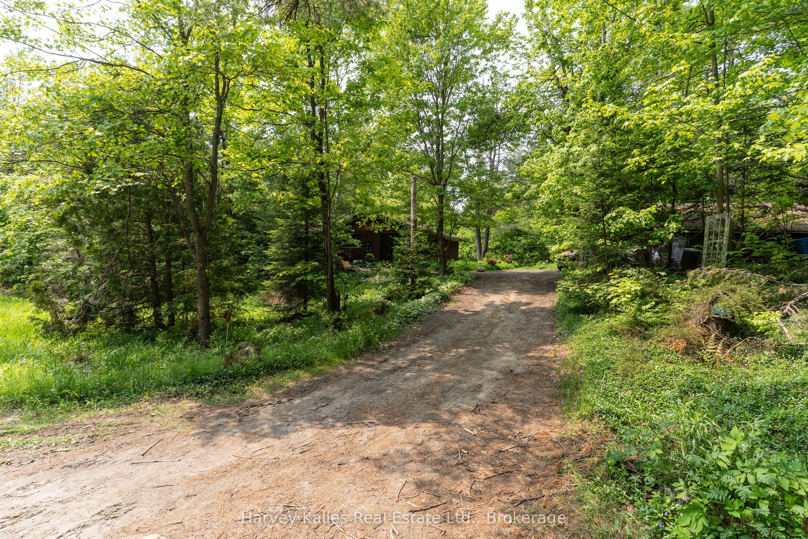 1099 Peterson Road Property Photo 24