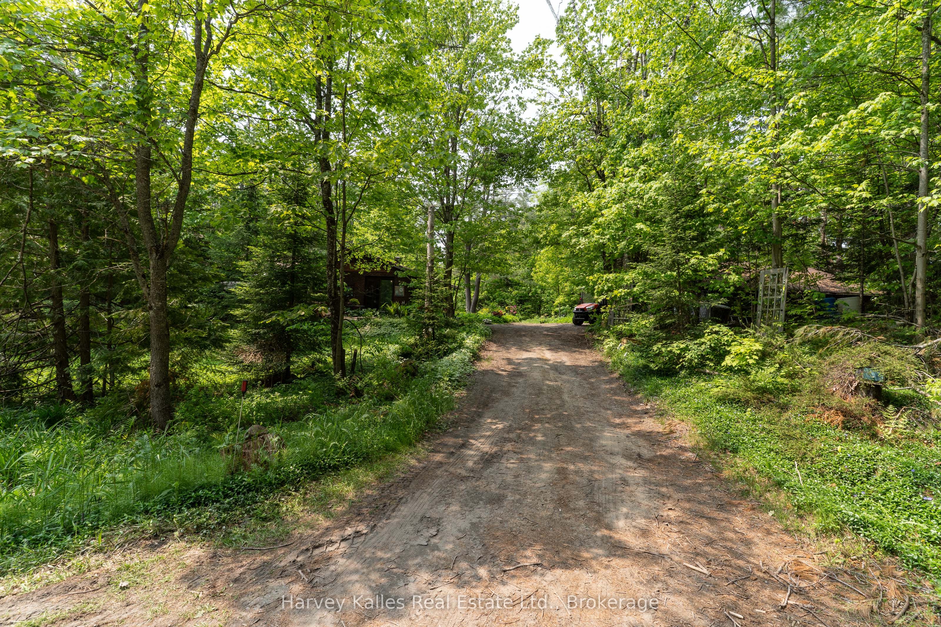 1099 Peterson Road Property Photo 25