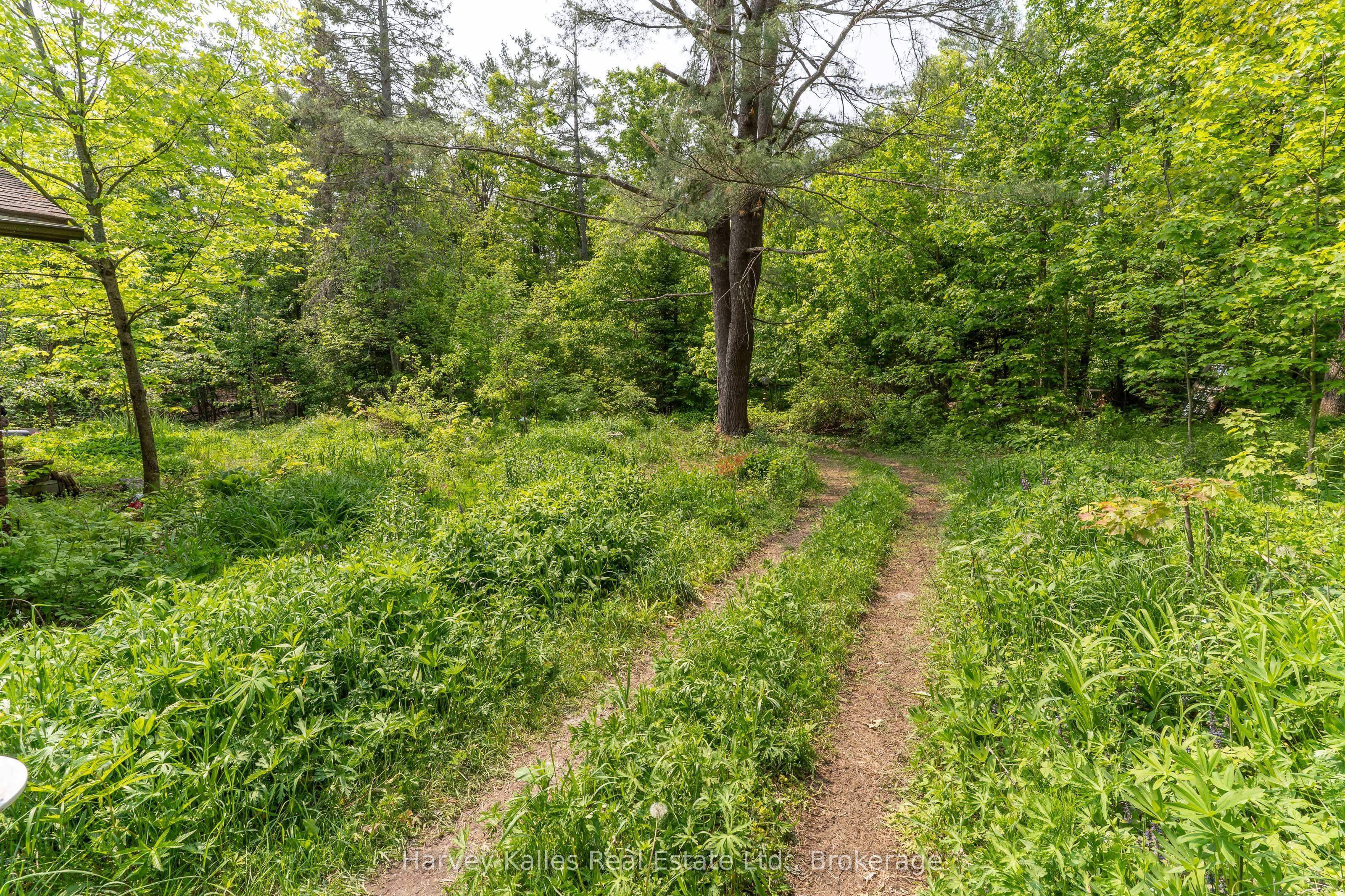 1099 Peterson Road Property Photo 27