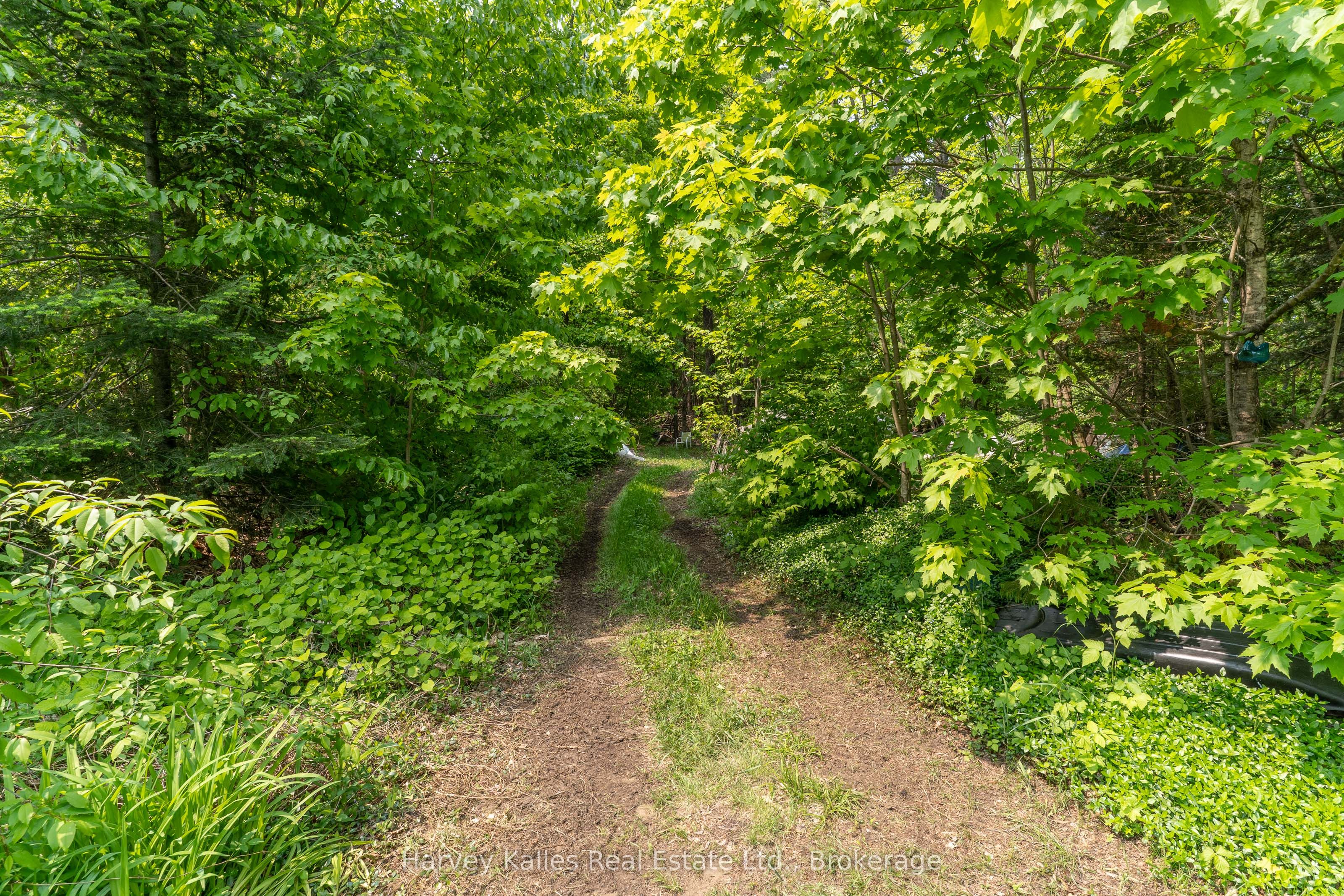 1099 Peterson Road Property Photo 29