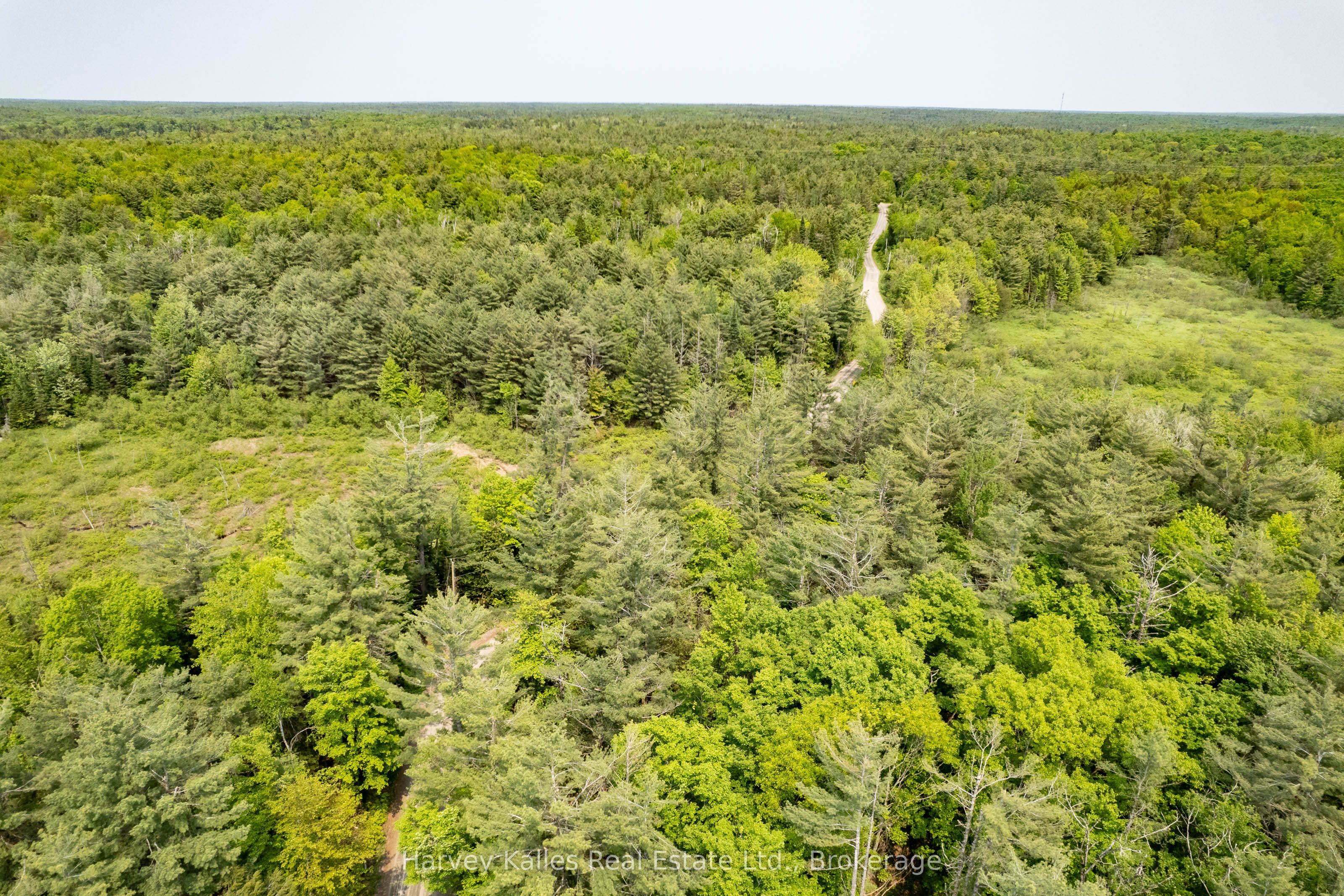 1099 Peterson Road Property Photo 31