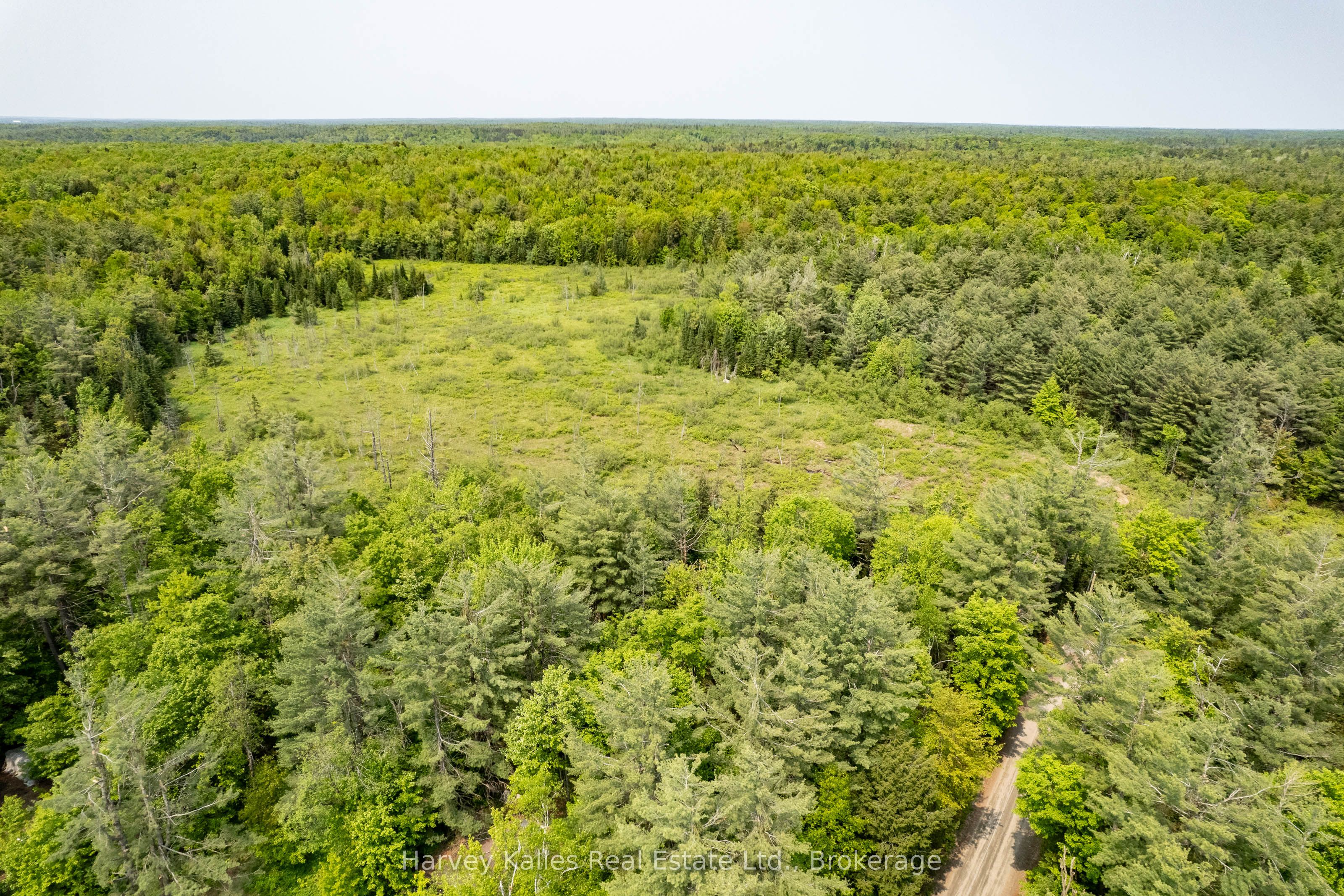 1099 Peterson Road Property Photo 33