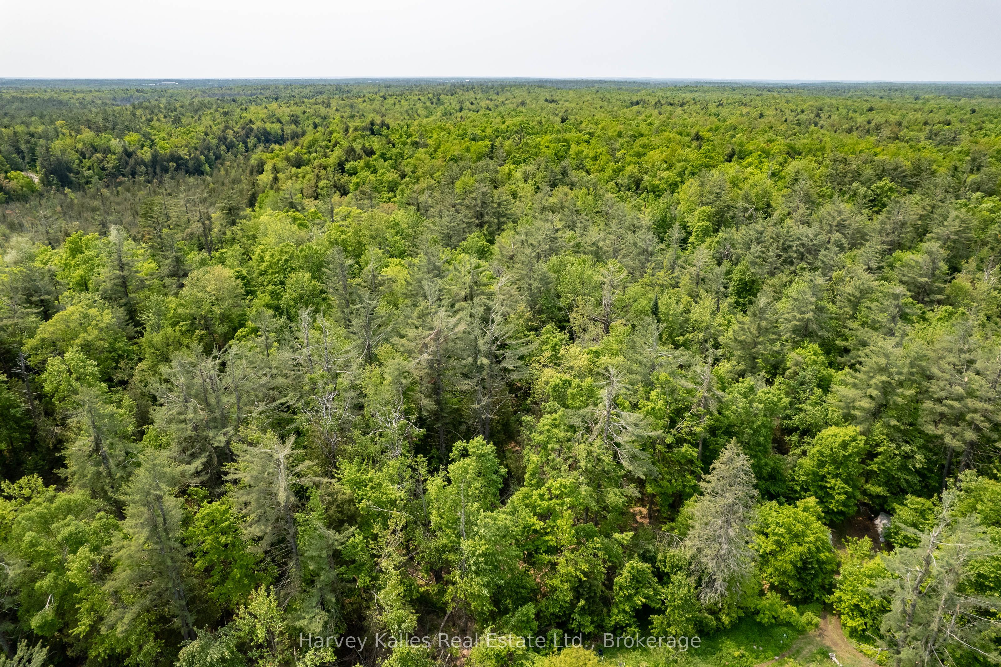 1099 Peterson Road Property Photo 34