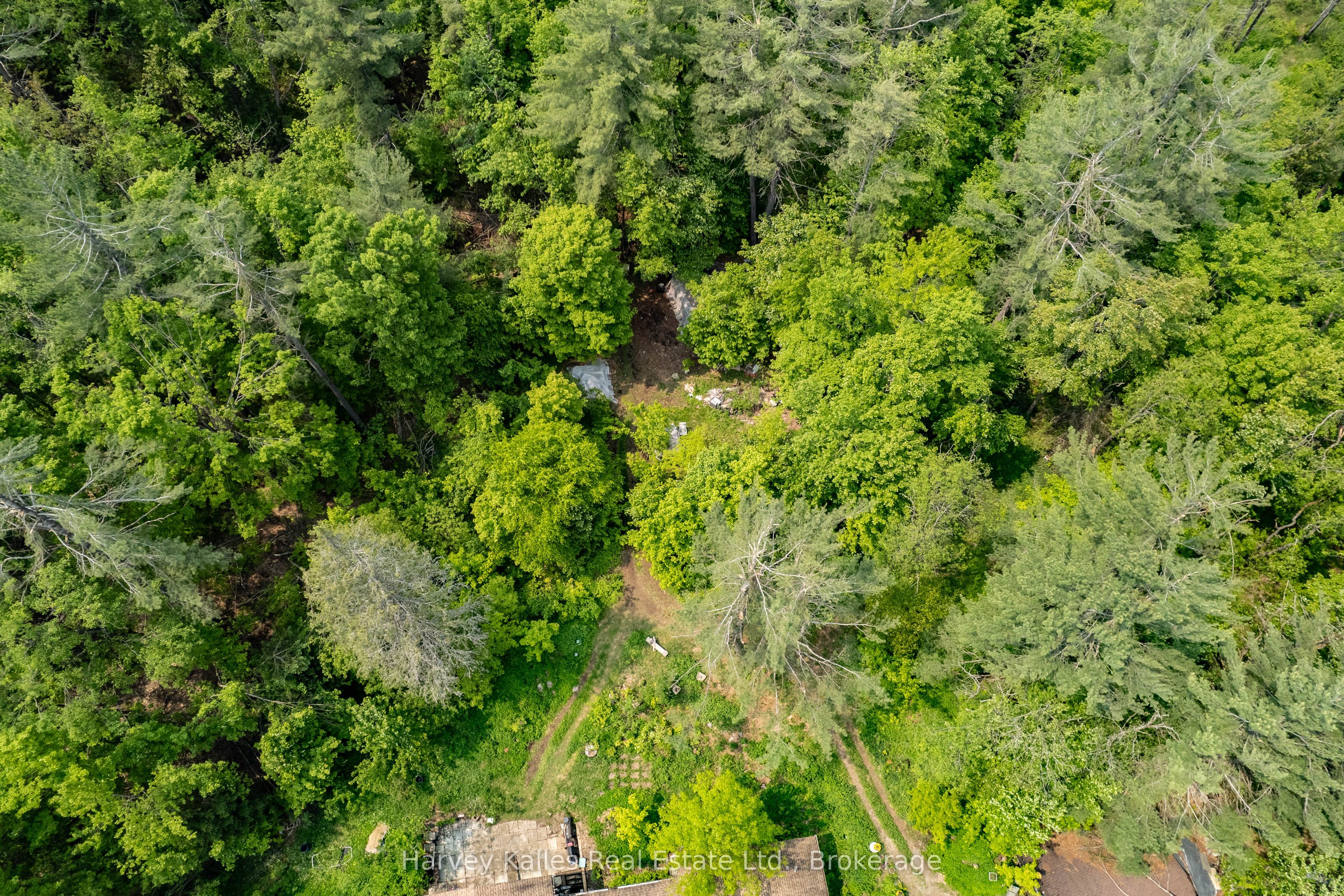 1099 Peterson Road Property Photo 36