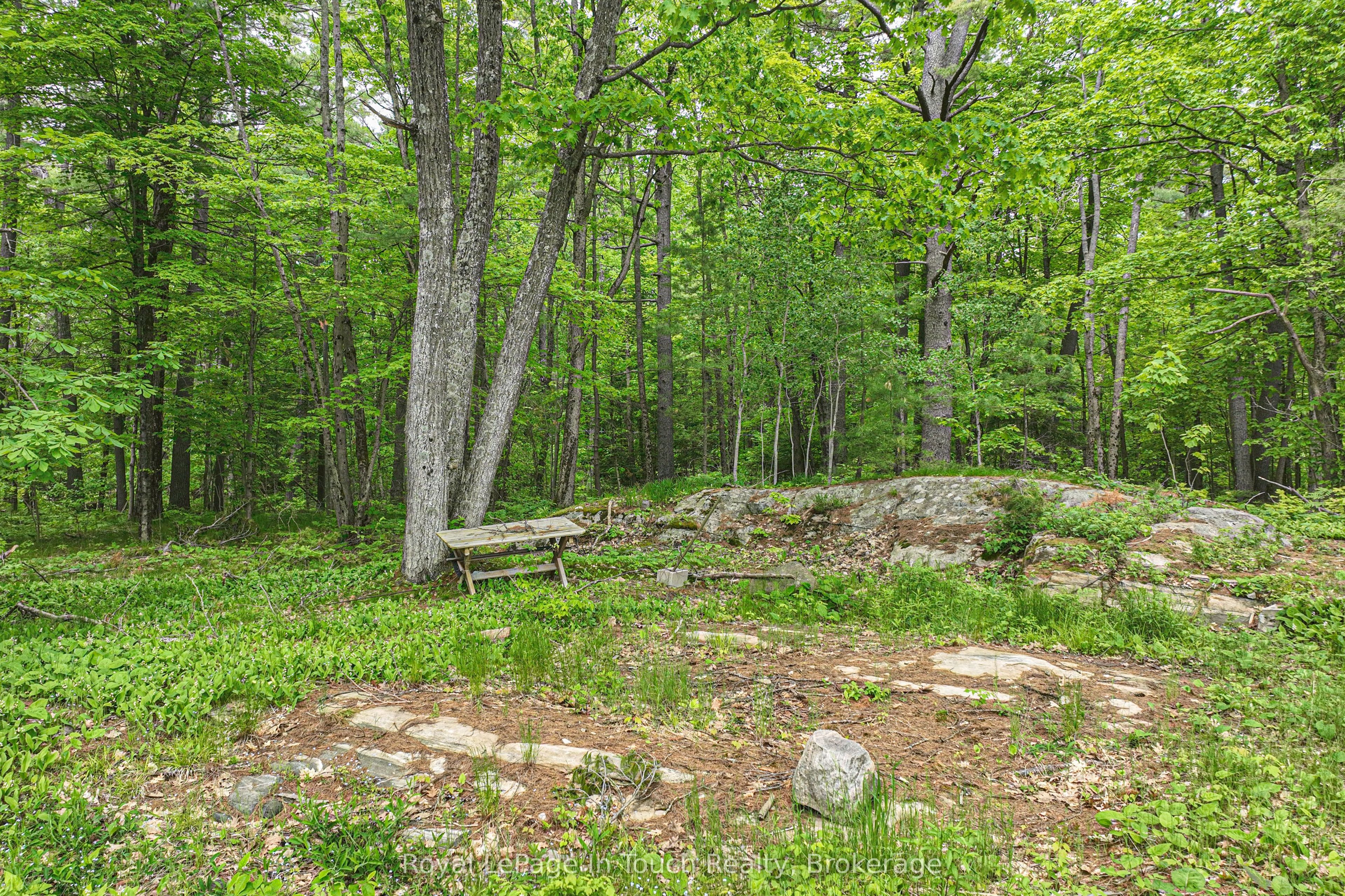 19 Sr404 Severn River Shore N/a Property Photo 4