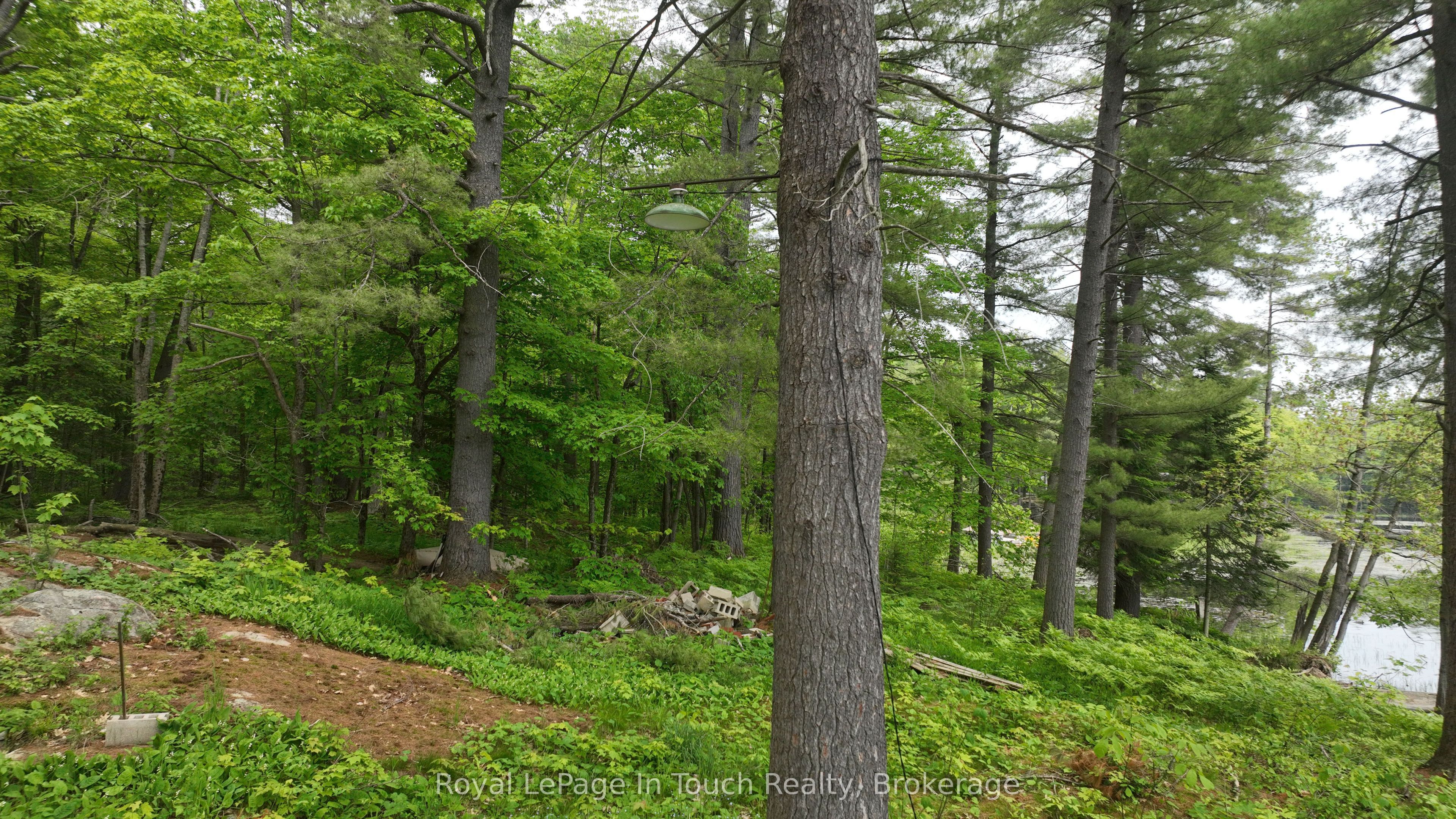 19 Sr404 Severn River Shore N/a Property Photo 5