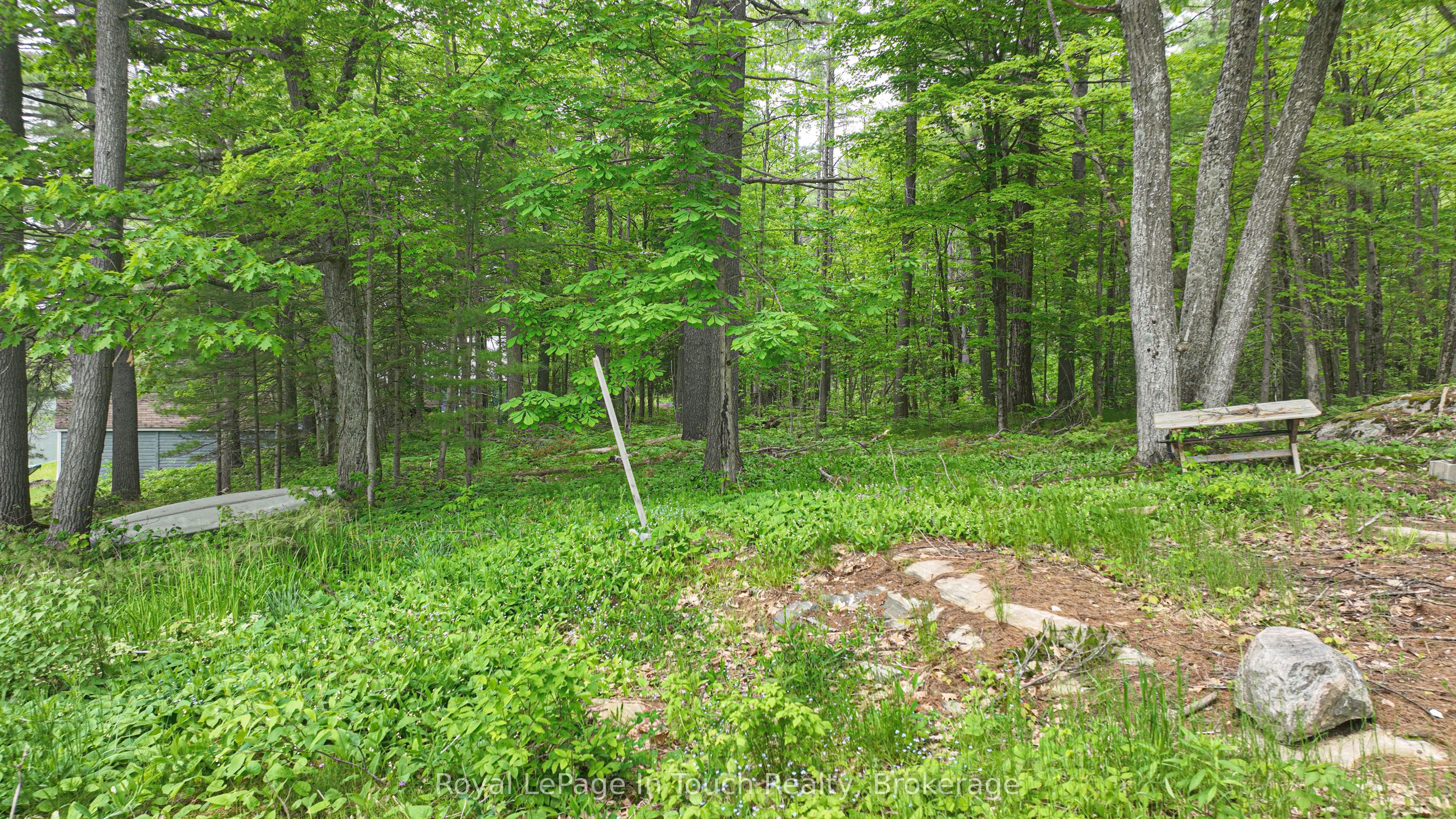 19 Sr404 Severn River Shore N/a Property Photo 11