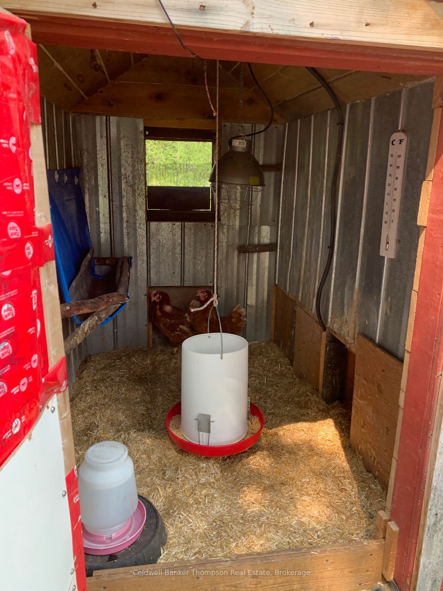 57 Rattray Road Property Photo 47